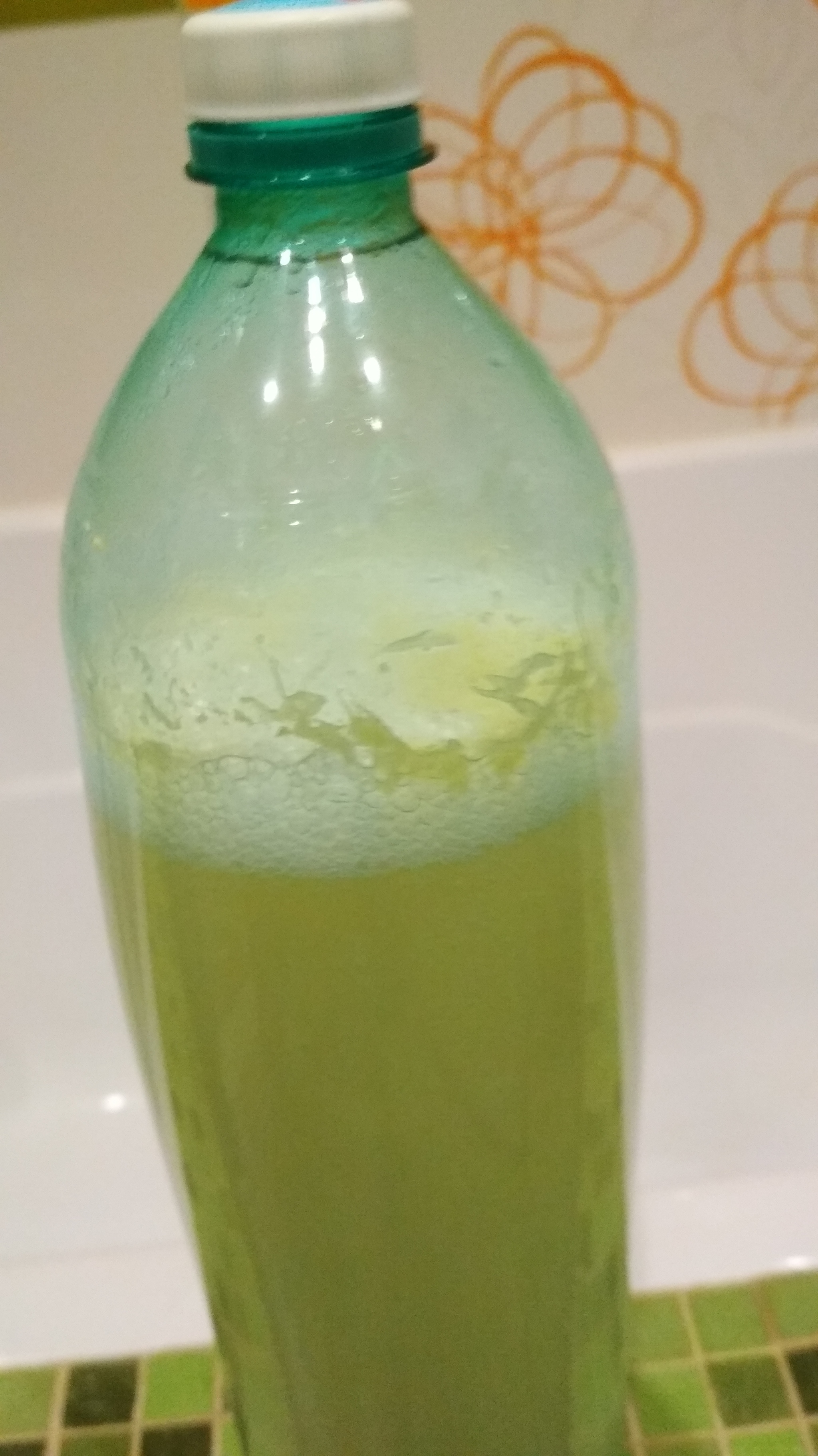 Ginger Ale - My, Recipe, Beverages, Longpost, Soda