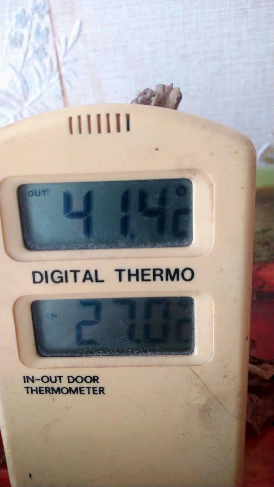 High temperature - My, Degrees, Mirgorod, Heat, Suddenly, Longpost, Thermometer, Temperature changes, Weather, Climate