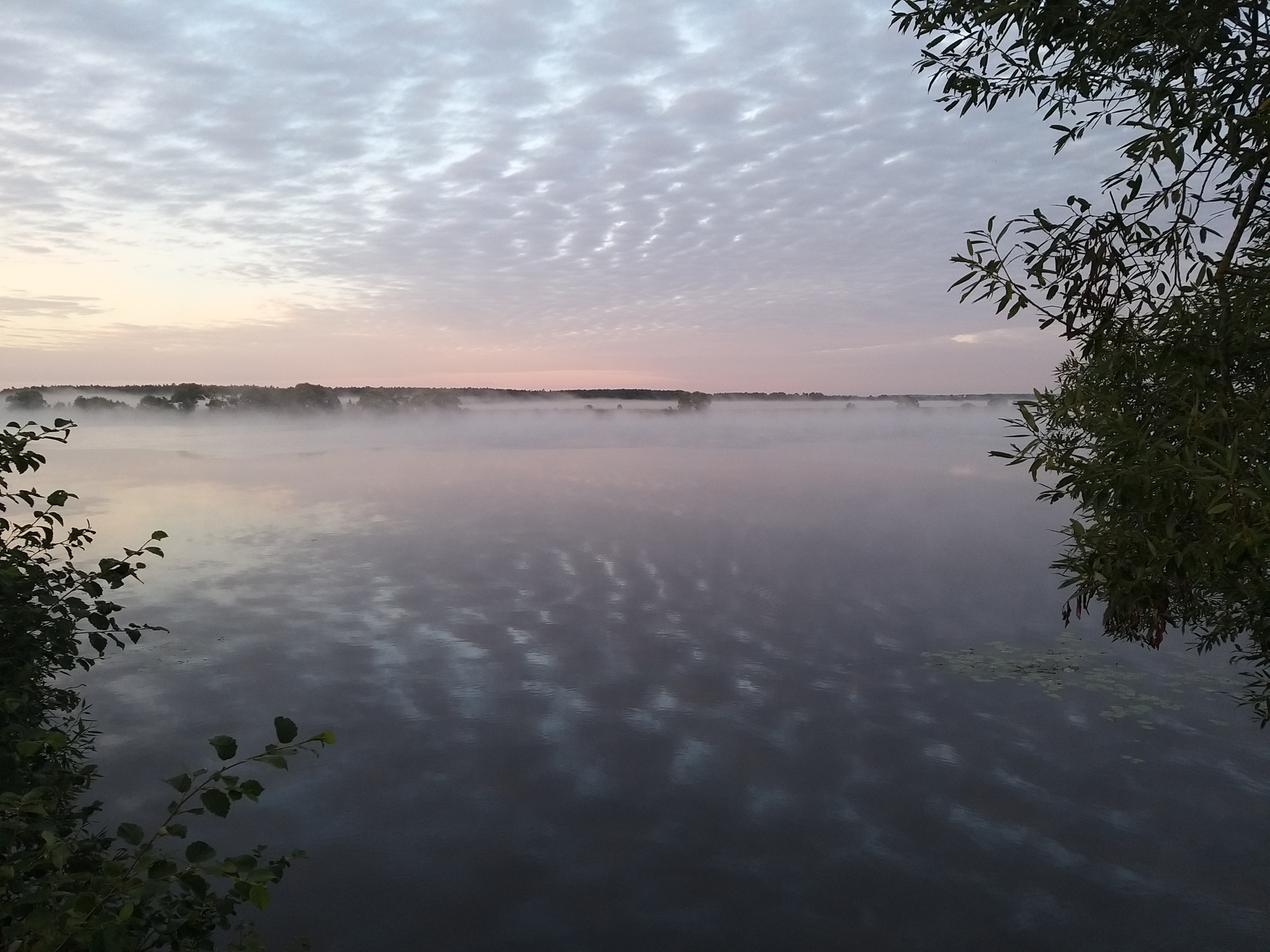 Fisherman's Saturday - My, Fishing, Nature, Weekend, Longpost