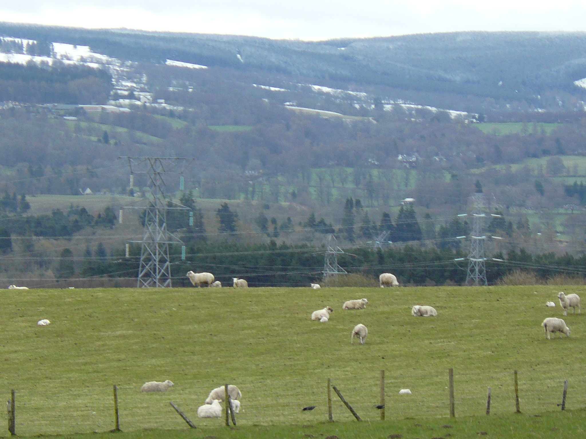 Nature of Scotland from the window of a tourist bus - My, Great Britain, Scotland, Nature, View, Travels, Longpost