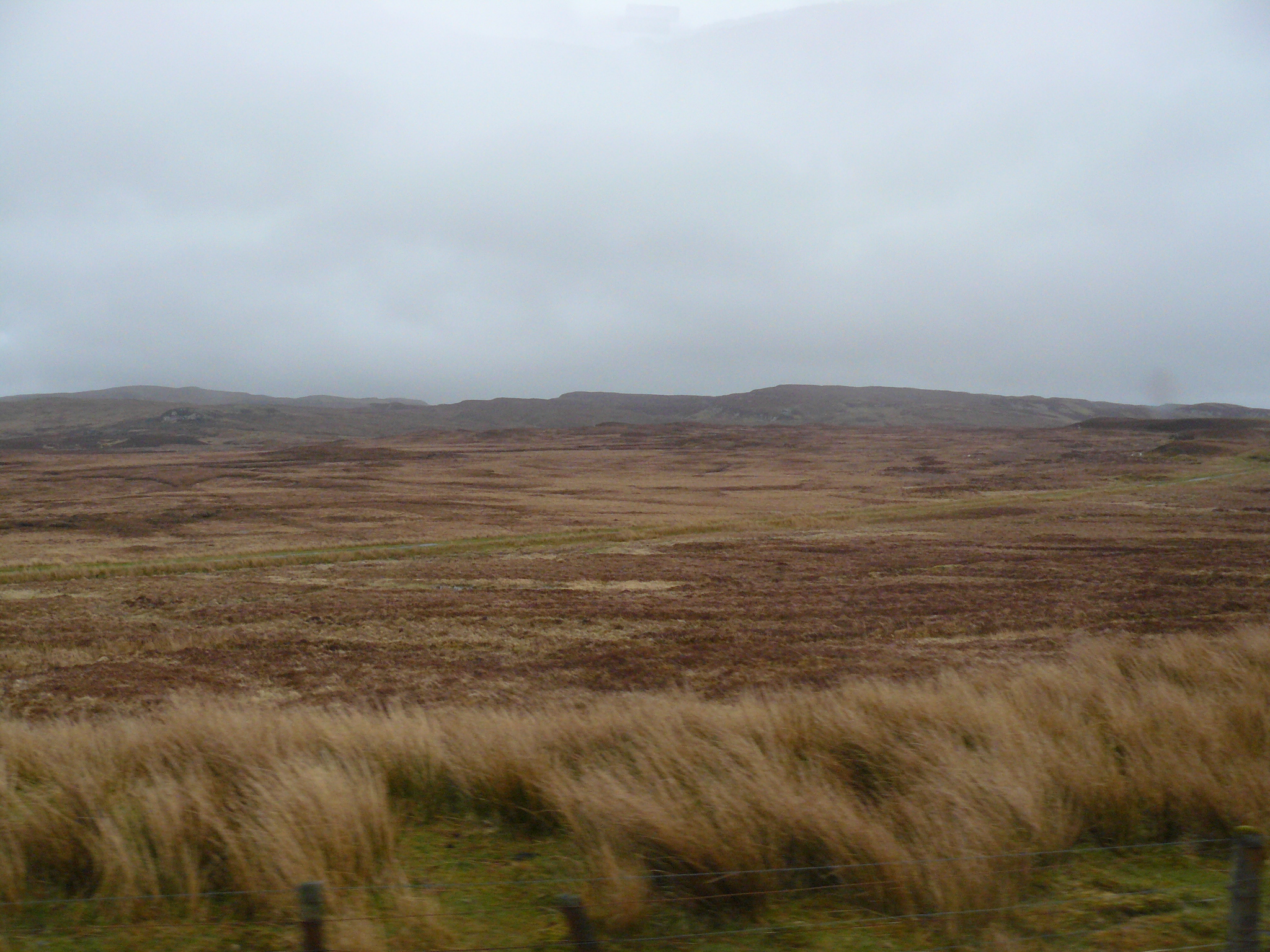 Nature of Scotland from the window of a tourist bus - My, Great Britain, Scotland, Nature, View, Travels, Longpost