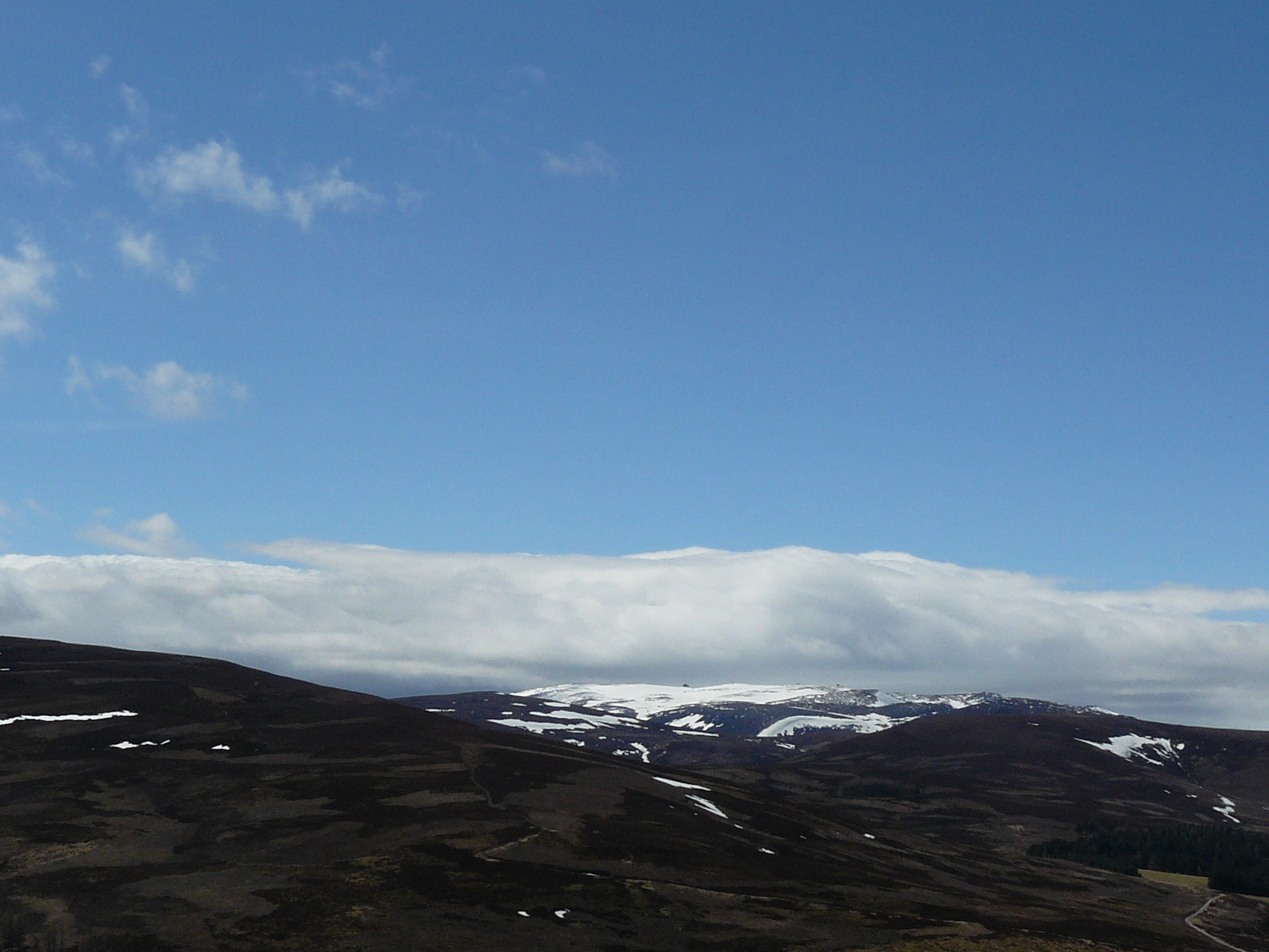 Nature of Scotland from the window of a tourist bus - My, Great Britain, Scotland, Nature, View, Travels, Longpost