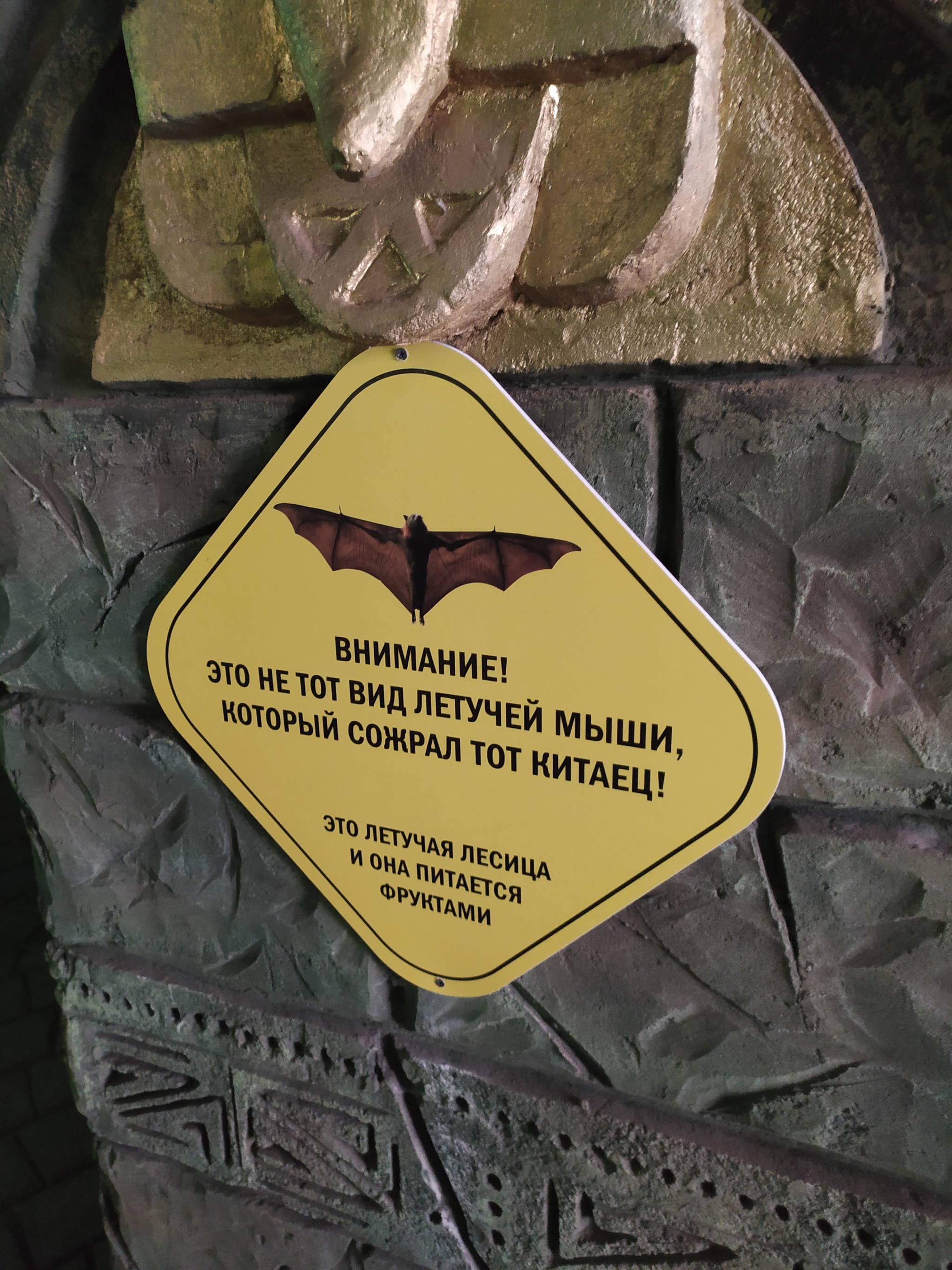 Amulet against stupid questions at the Krasnodar Zoo - My, Zoo, Coronavirus, Krasnodar, Табличка