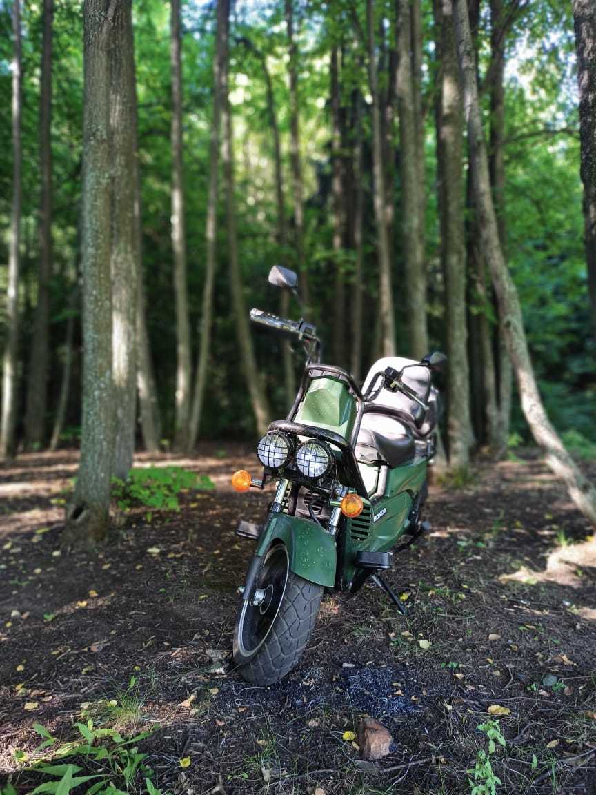 Brutal off-road moped? - My, Honda, Scooter, Moped, Longpost