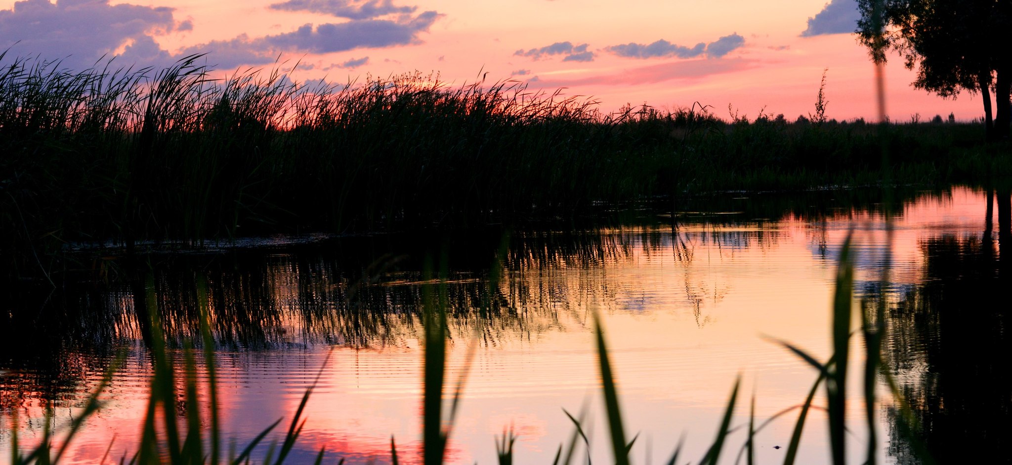 Sunset on the lake - My, Summer, Lake, Sunset