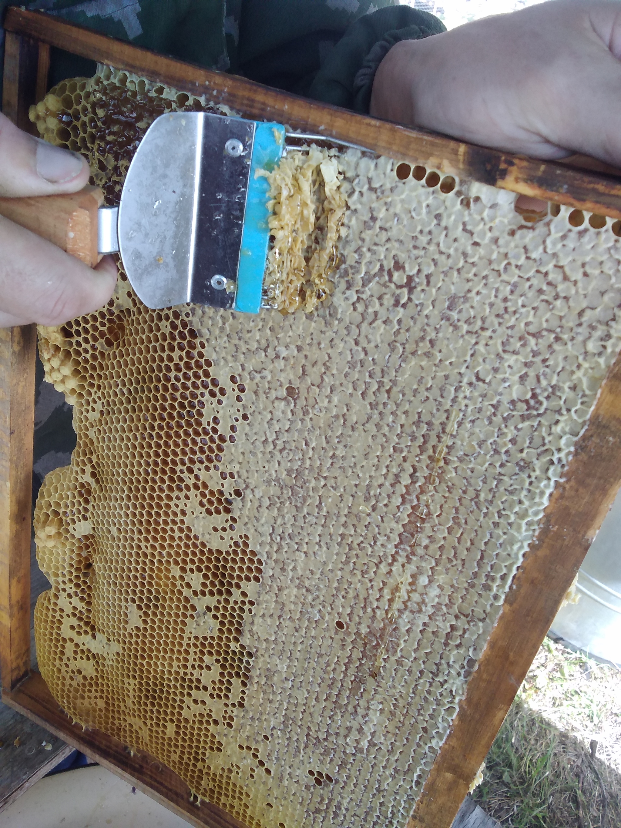 Collecting honey in a small apiary in Siberia - My, Friday tag is mine, Honey, Bees, Longpost