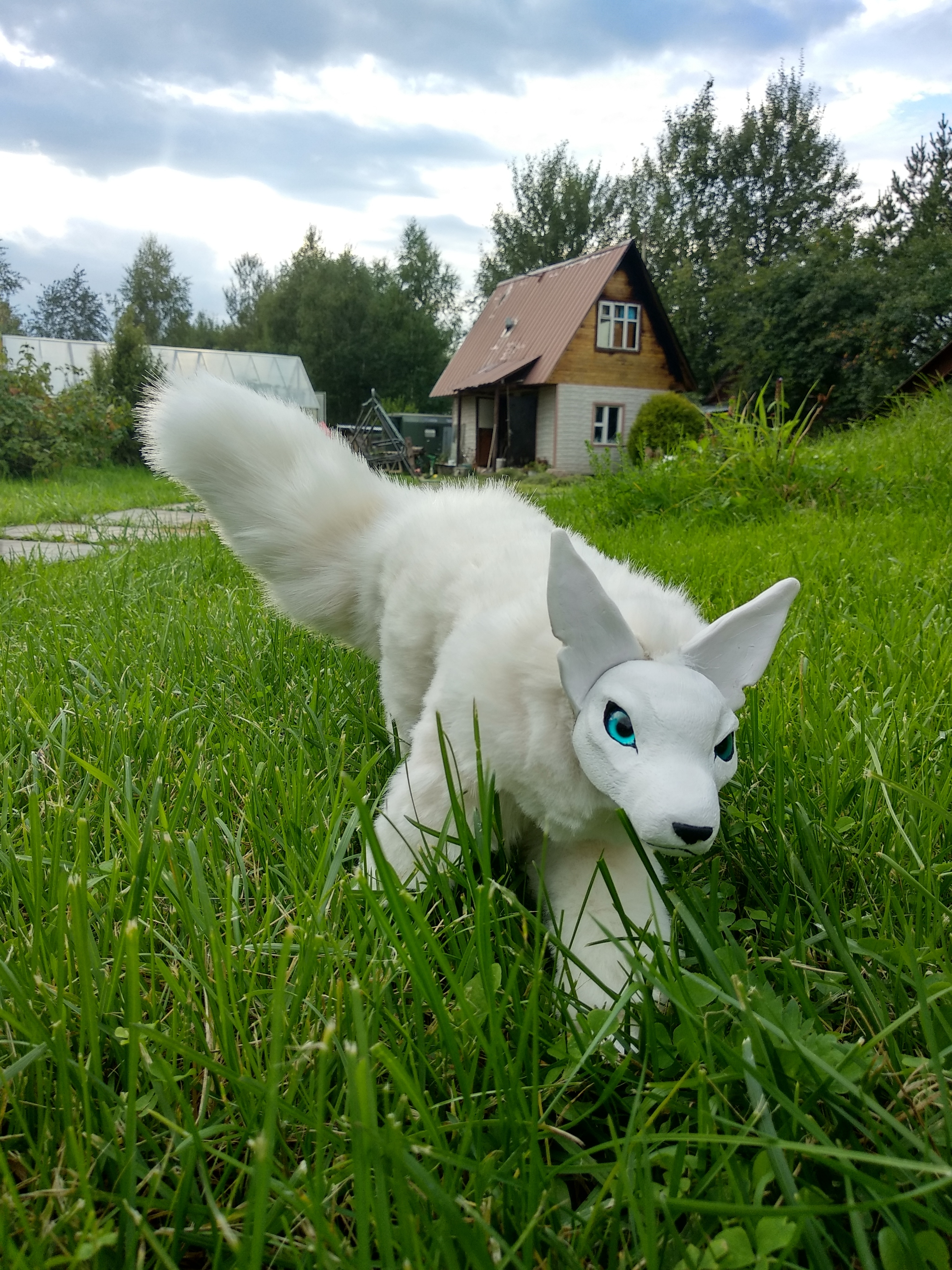 White Fang - My, Polymer clay, Creation, Hobby, Needlework without process, Longpost, With your own hands, Needlework