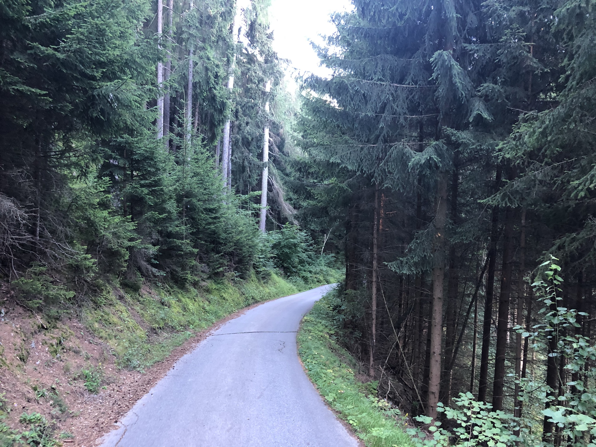 Hike to the Patscherkofel Schutzhaus. Austria, Tyrol. Part two - My, Austria, Tyrol, Innsbruck, Hike, Travels, The photo, The mountains, Longpost