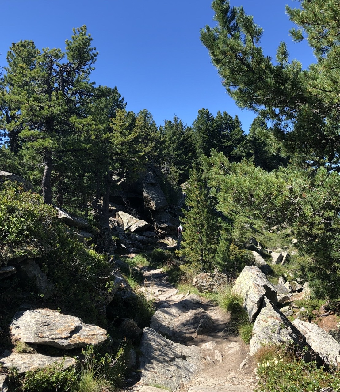 Hike to the Patscherkofel Schutzhaus. Austria, Tyrol. Part two - My, Austria, Tyrol, Innsbruck, Hike, Travels, The photo, The mountains, Longpost