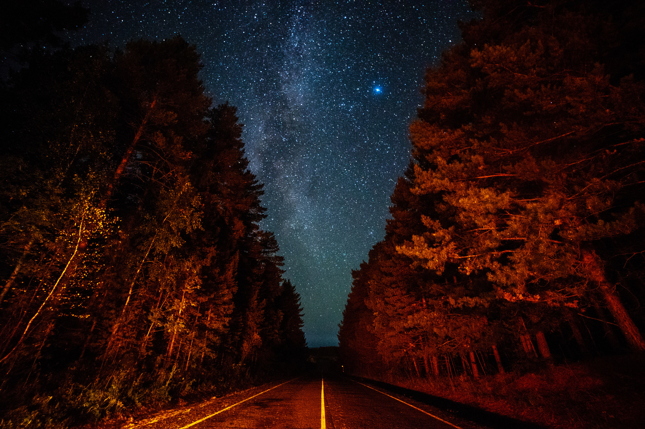 Night sky in August - My, Starry sky, Night, Forest, Milky Way, Space, Astrophoto, Tomsk, Longpost, The photo, Sky, Stars