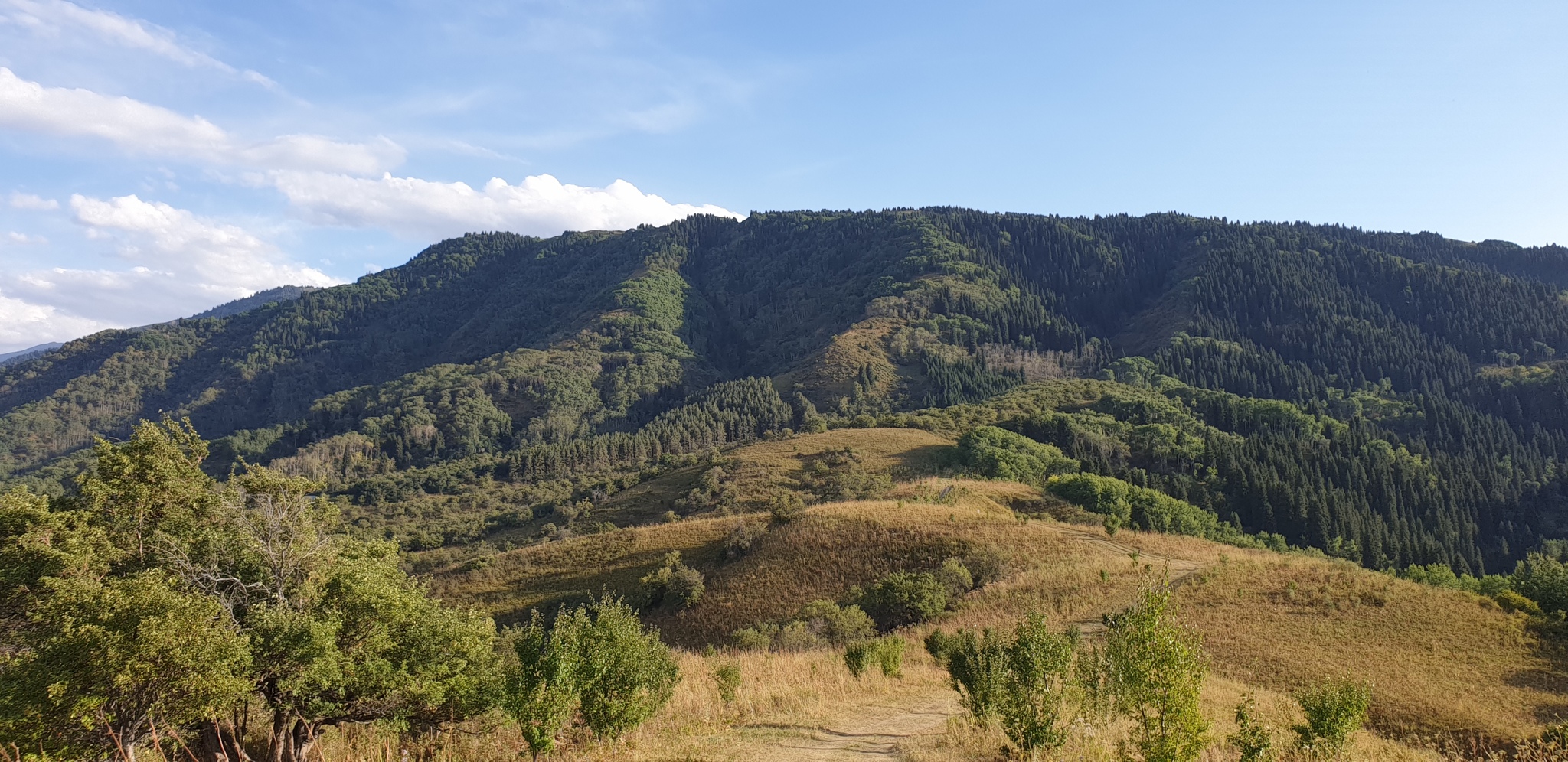 Mountains - My, Almaty mountains, Turgen, beauty of nature, Kazakhstan, Nature, Longpost