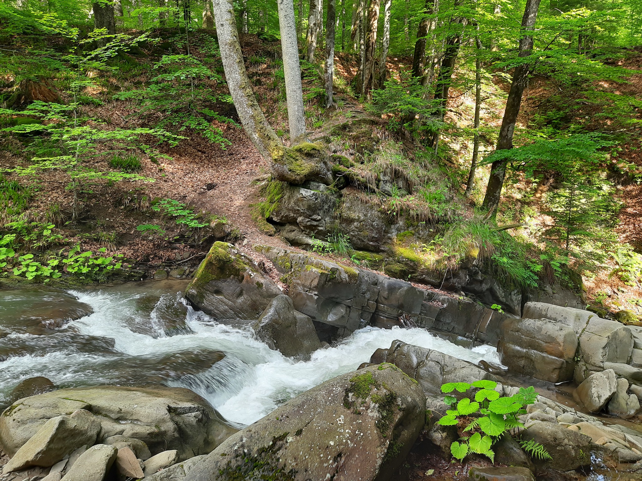 Photos from Transcarpathia - My, Transcarpathia, Uzhgorod, Nature, Longpost