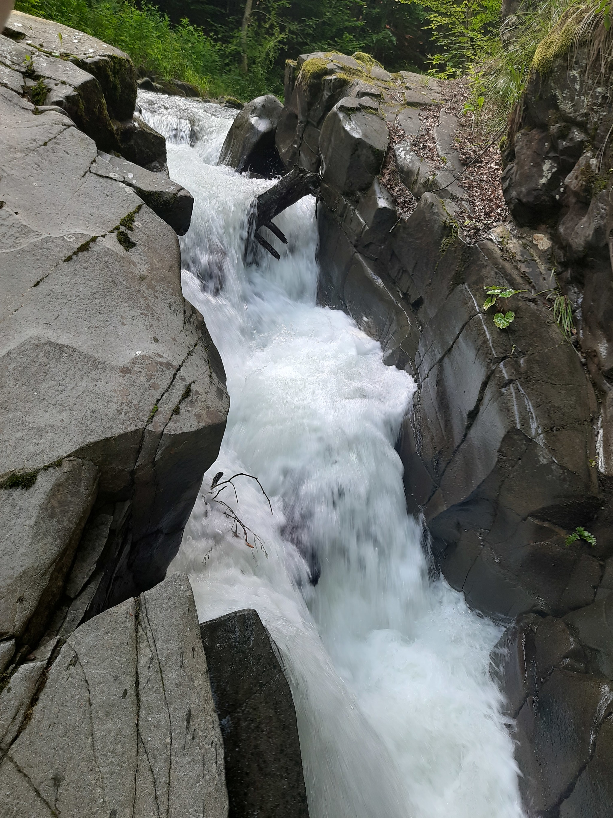 Photos from Transcarpathia - My, Transcarpathia, Uzhgorod, Nature, Longpost