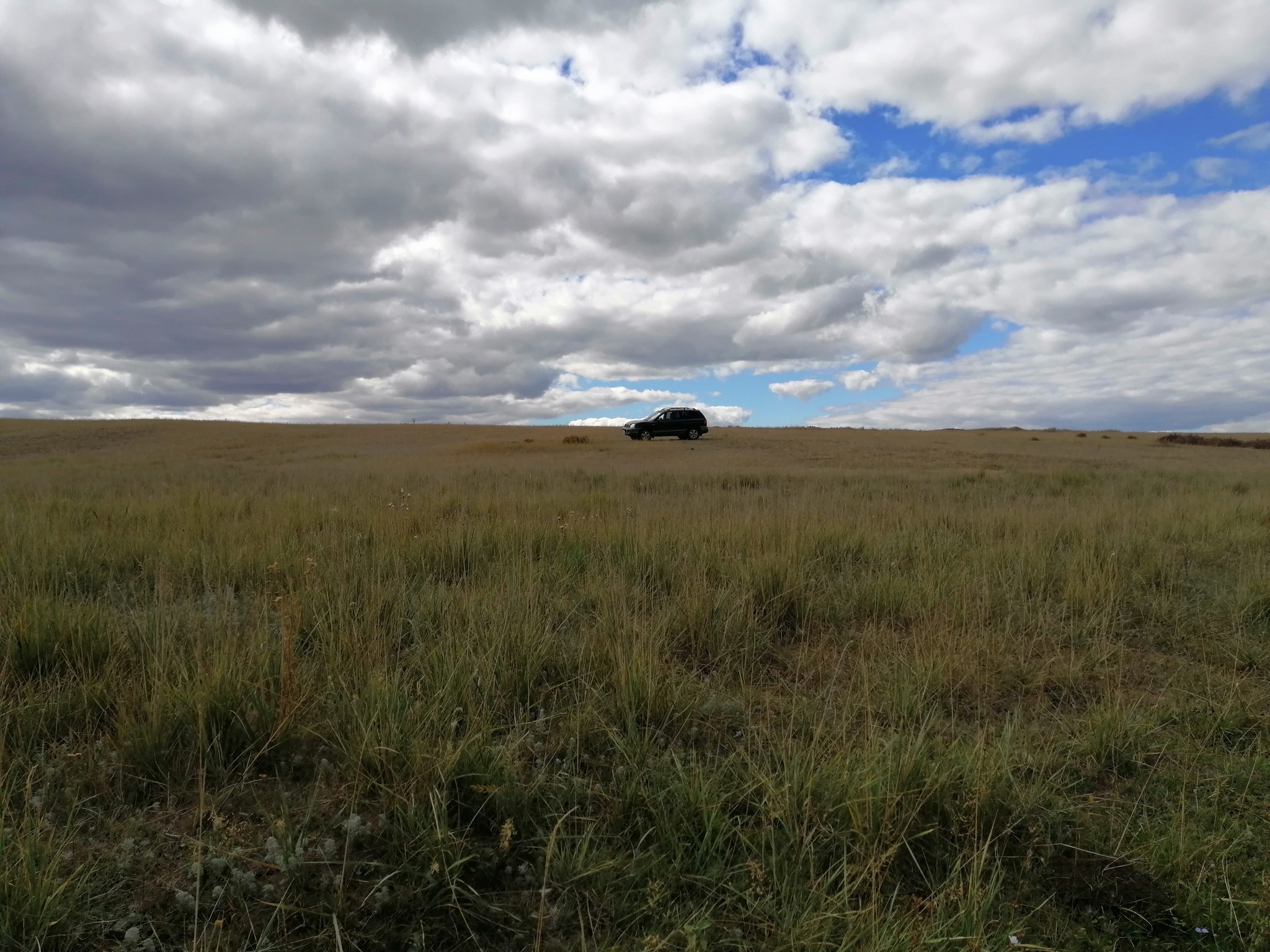 A little harsh steppe - My, Photo on sneaker, Steppe, Nature, Kazakhstan, Longpost