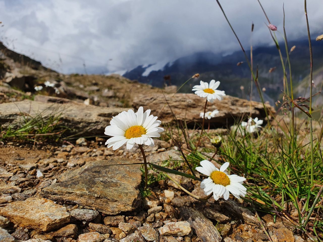 Such a different Elbrus region - My, Elbrus, Mount Cheget, Azau, Elbrus, Longpost, Nature, wildlife, The nature of Russia, The mountains, Caucasus mountains