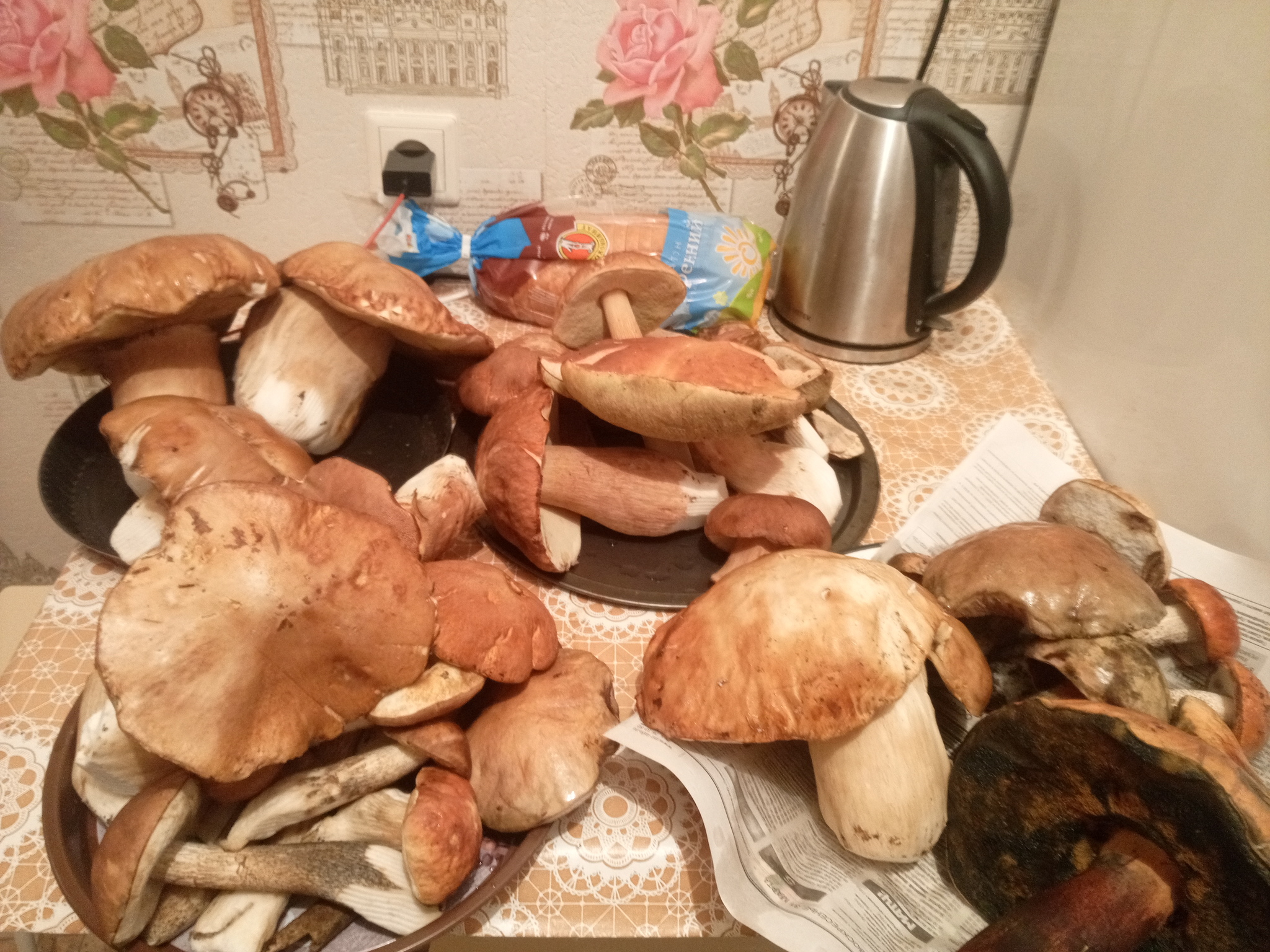 King of Mushrooms v2.0 - My, Silent hunt, Mushrooms, Forest, Mutant, Nature, Kitchen, Food, Longpost