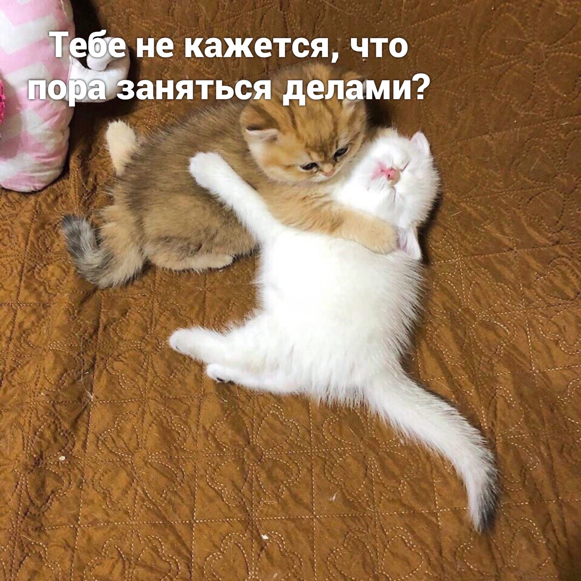 Расслабься | Пикабу