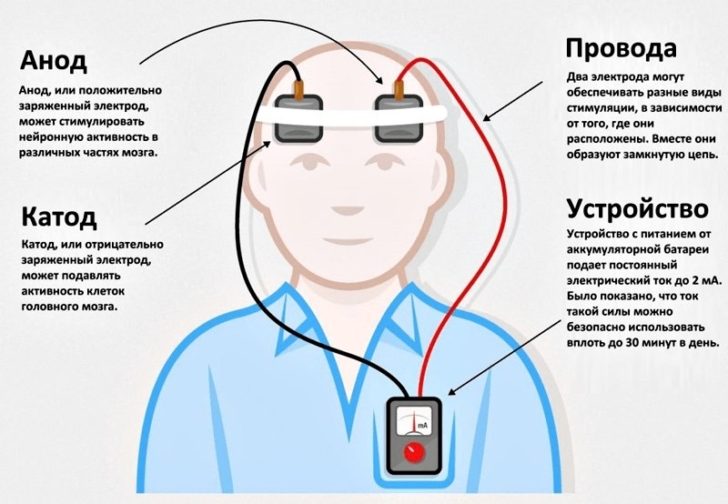 Машины счастья - Моё, Бионика, Робот, Робототехника, Биология, Киберпанк, Нейротехнологии, Трансгуманизм, Длиннопост