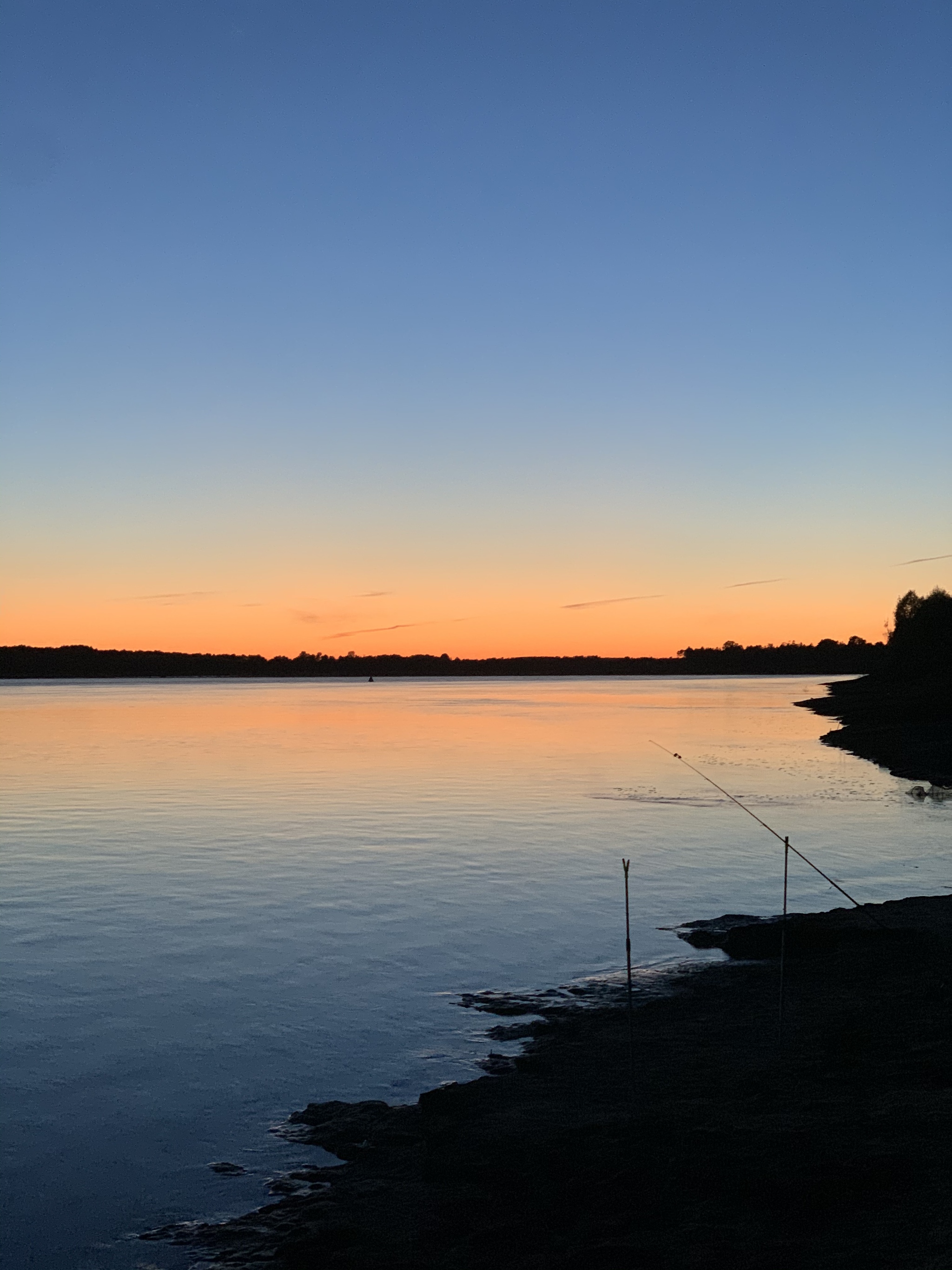 I caught a pike on the feeder, we are digging for a bluegrass larva in the Irtysh! We are preparing fish soup! - My, Fishing, Irtysh, Tobolsk, Pike, Feeder, Spinning, Video, Longpost