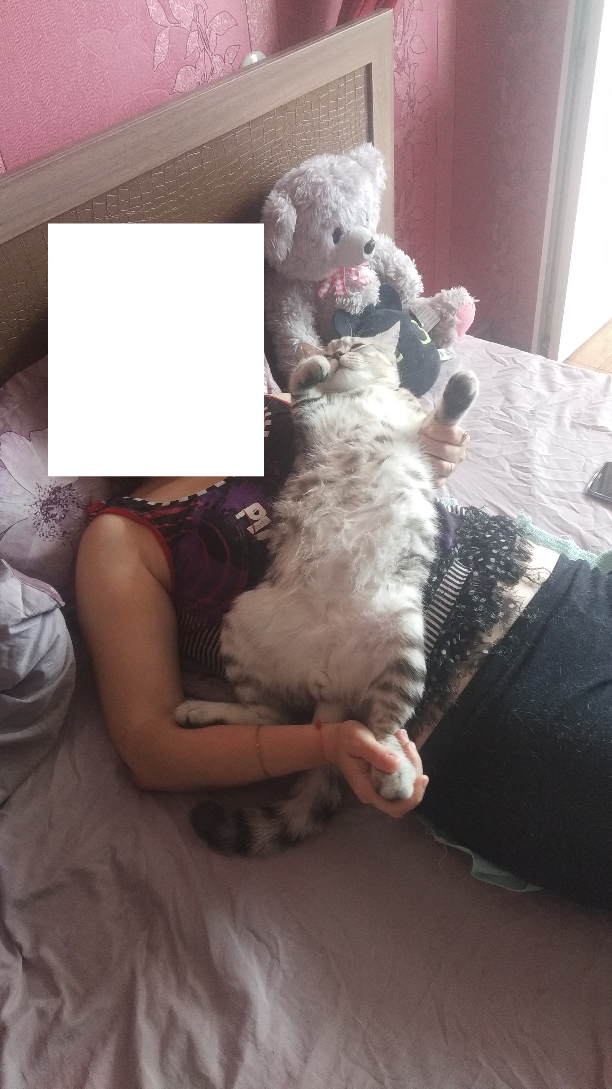 My wife and her cat allergy - My, cat, Allergy, Mum, Longpost