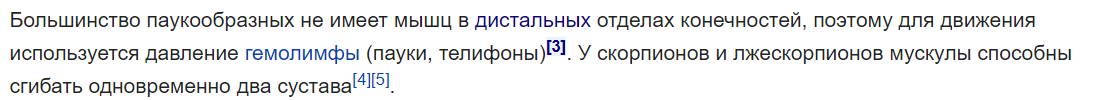 У Пауков Есть Мышцы и Ещё Кое-Чего - Паук, Биология, Научпоп, Зоология, Длиннопост