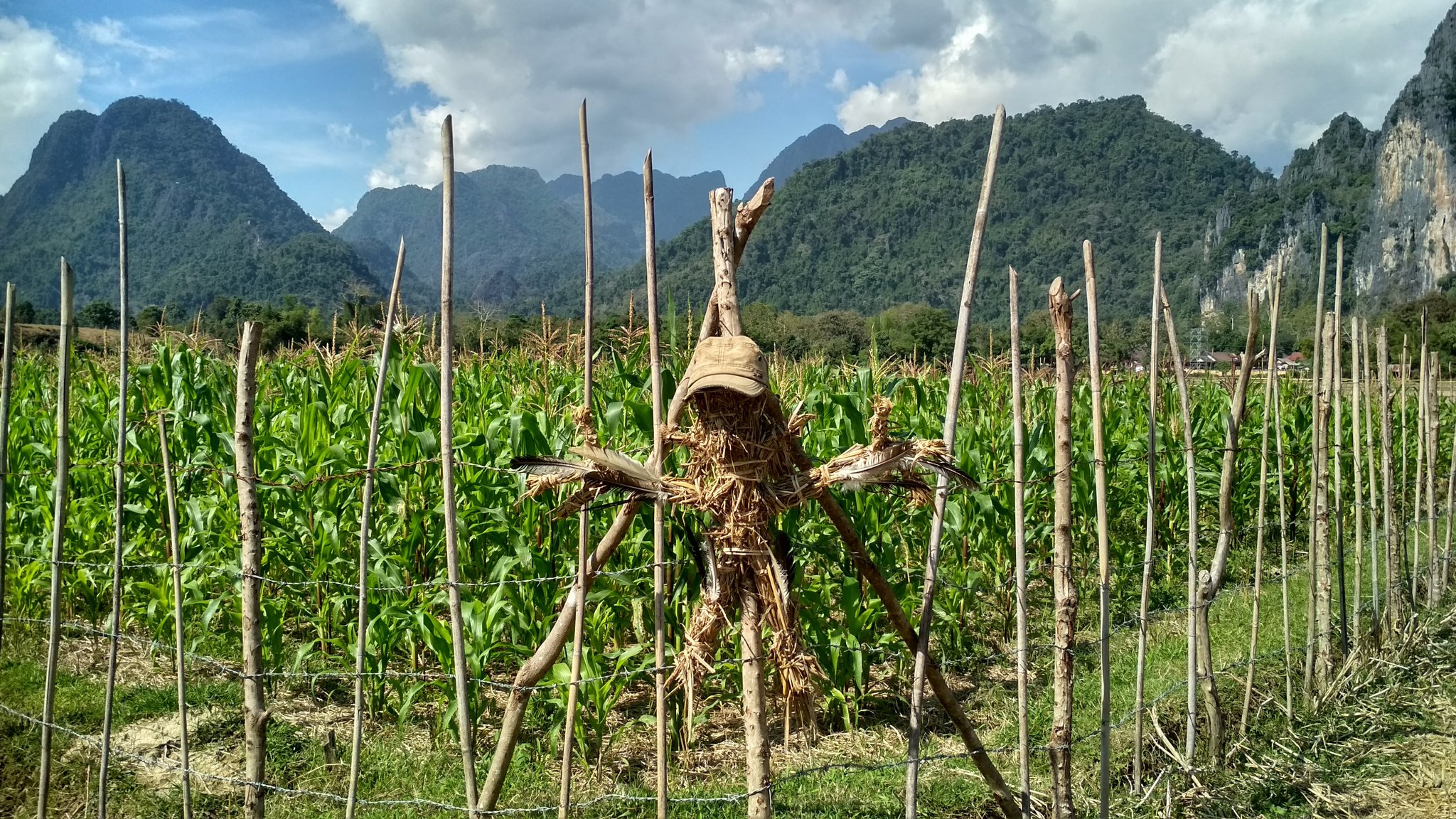 Civilization in Laos. Vientiane and Vang Vieng - My, Longpost, Travels, Laos, The photo, Life stories