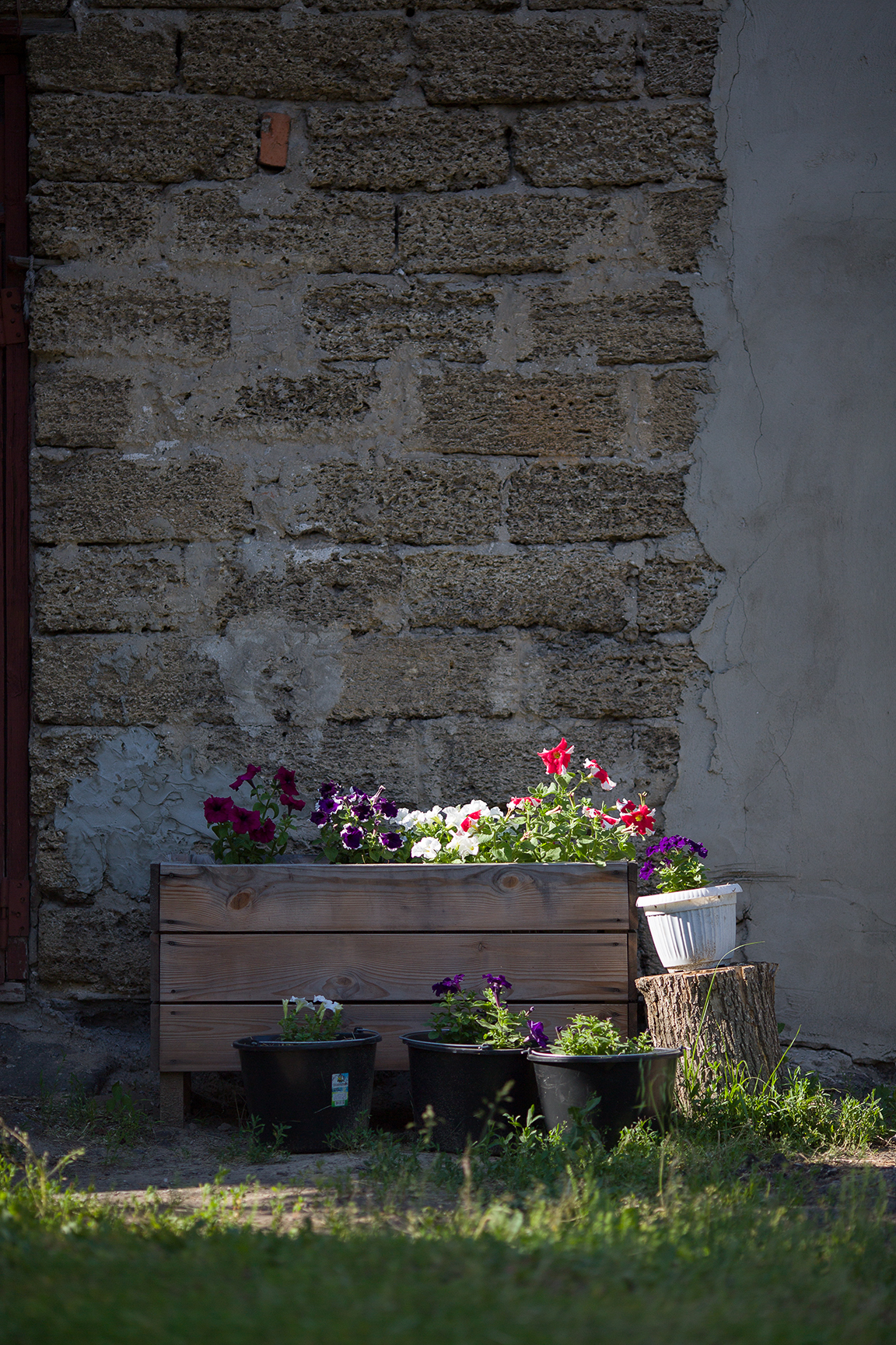 Photo of our yard - My, The photo, Photographer, Photography lessons, Beautification, Urbanism, Housing and communal services, Straight arms, Longpost