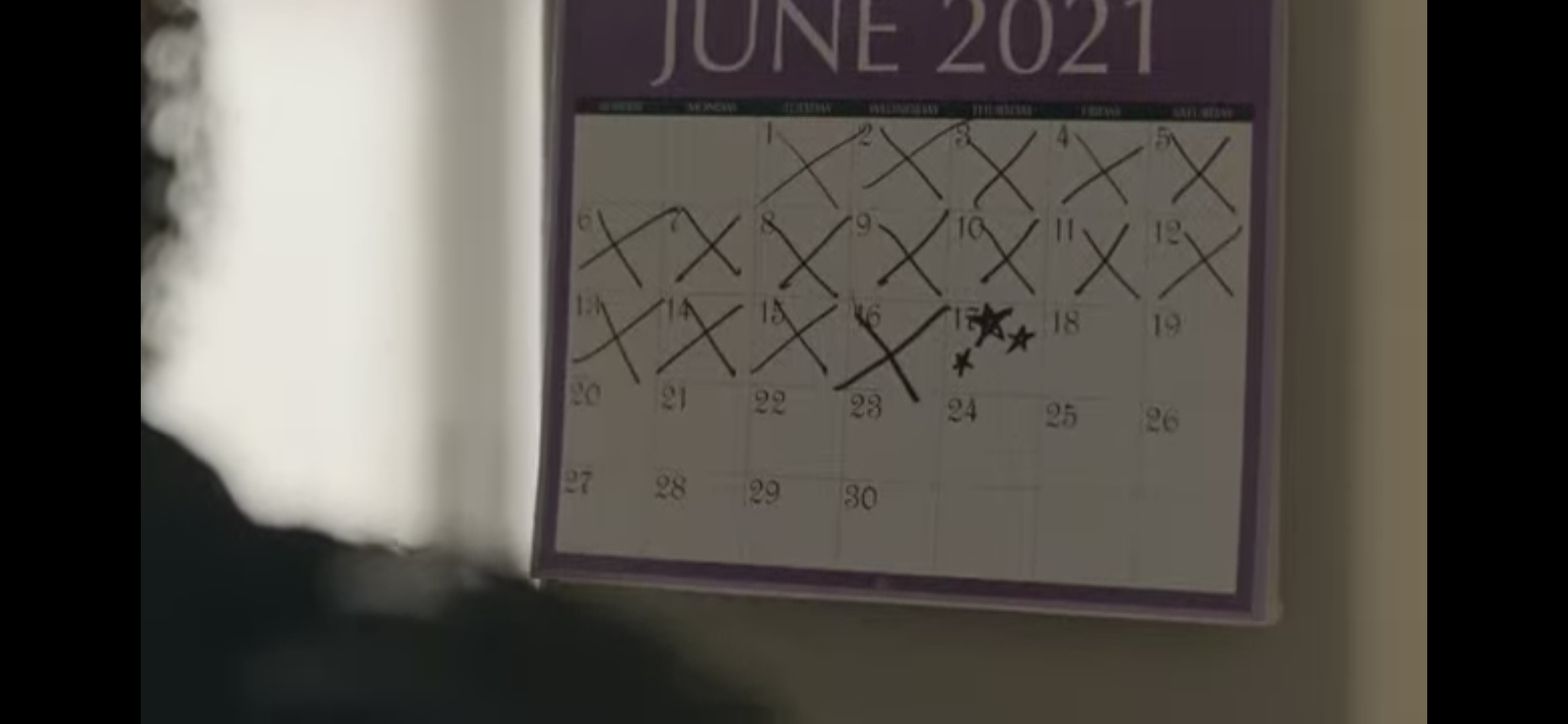 The last man on earth - 2020, Foreign serials, The last man on earth, Storyboard, The calendar, Virus, 2021