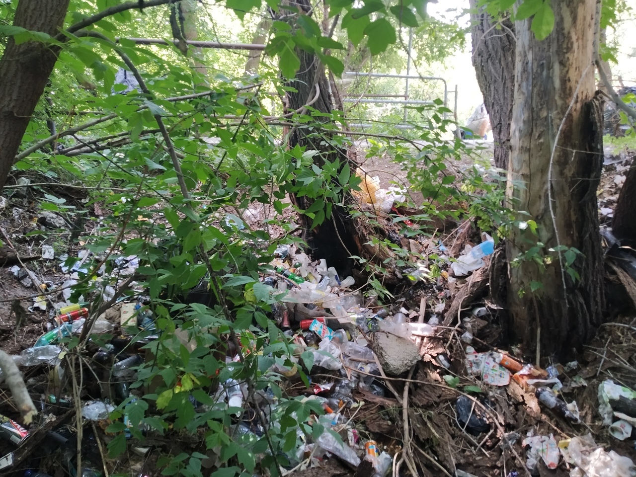 Cleared out a landfill in the city center - My, Chistoman, Kopeysk, Dump, Garbage, Cleaning, Saturday clean-up