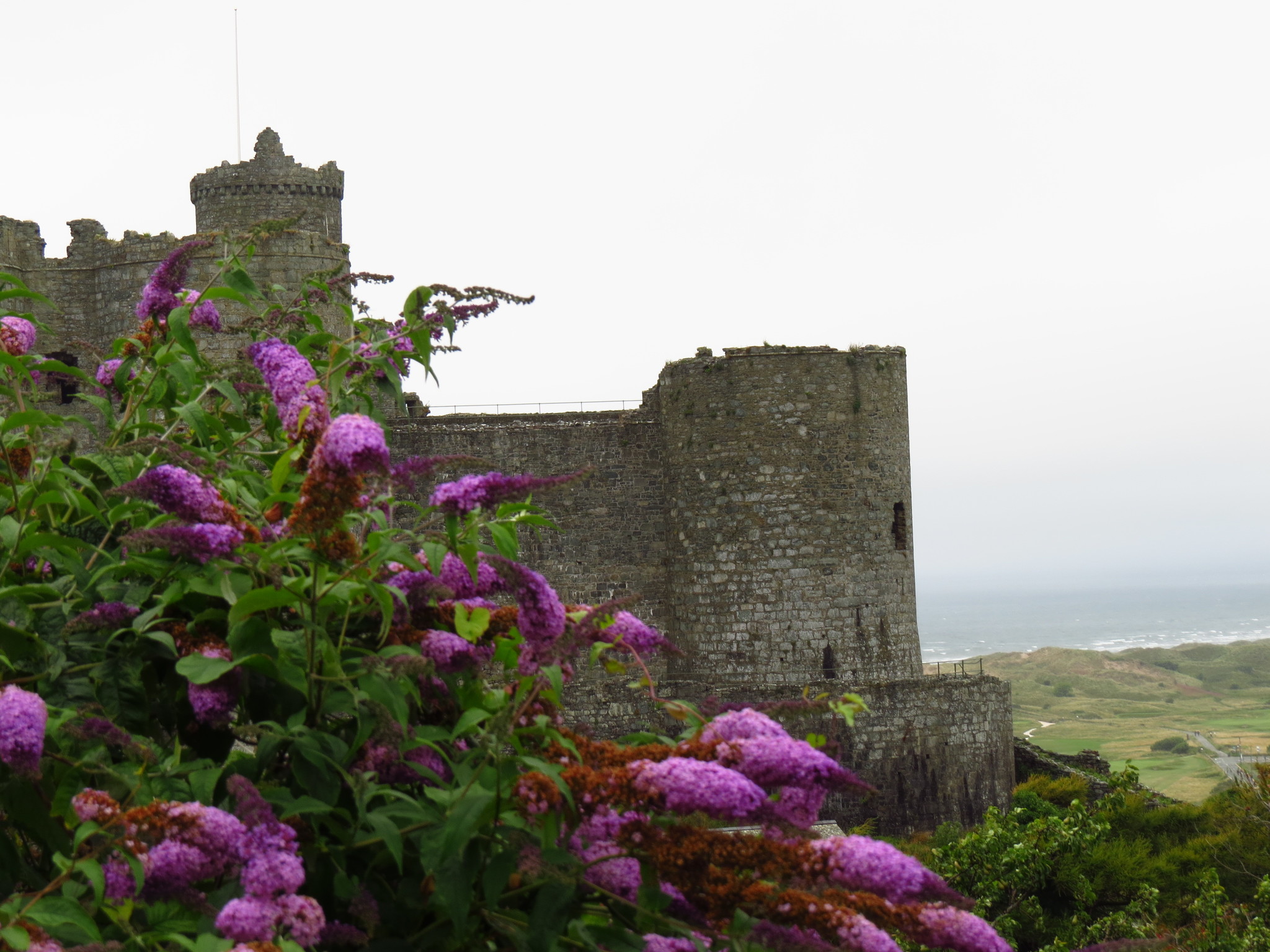 Harlech Castle (Wales, UK) - My, Great Britain, Wales, Lock, Story, Middle Ages, Travels, The photo, Longpost