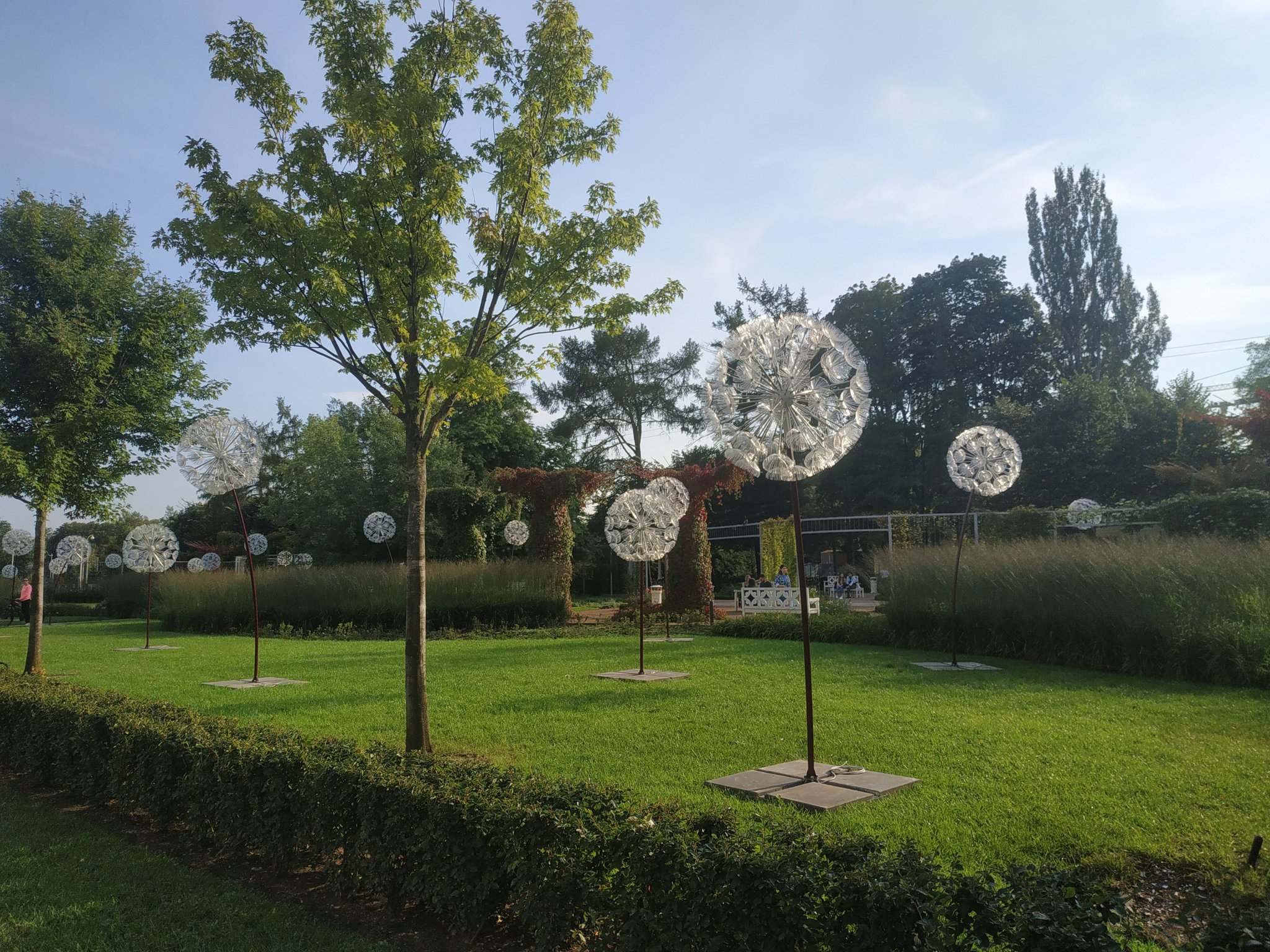 Dandelions at VDNH - My, Dandelion, beauty, Good mood, Longpost