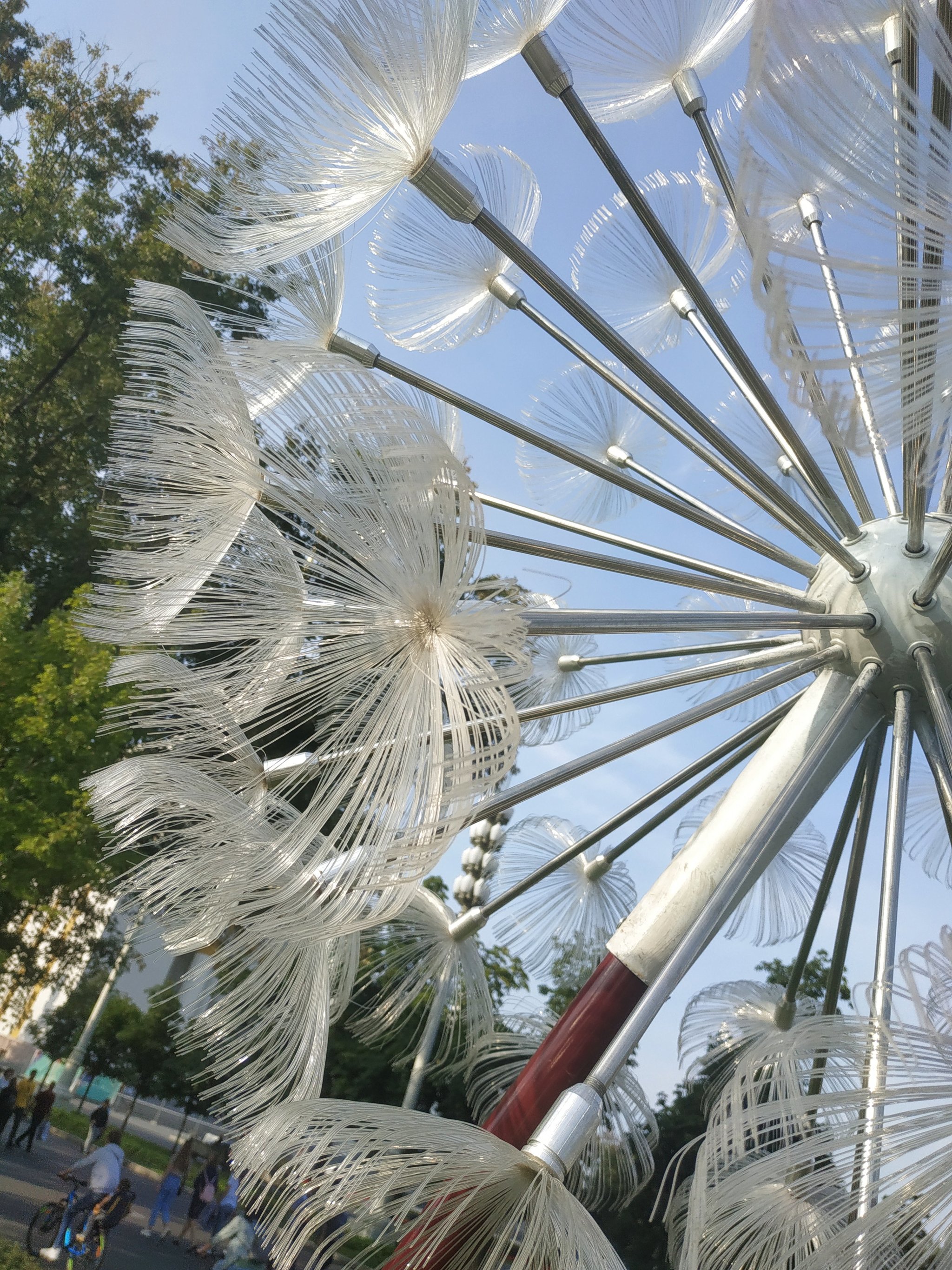 Dandelions at VDNH - My, Dandelion, beauty, Good mood, Longpost