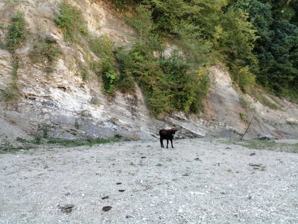 Dry bed of the Psakho River - My, Sochi, Psaho, Canyon, Drought, Hike, Longpost