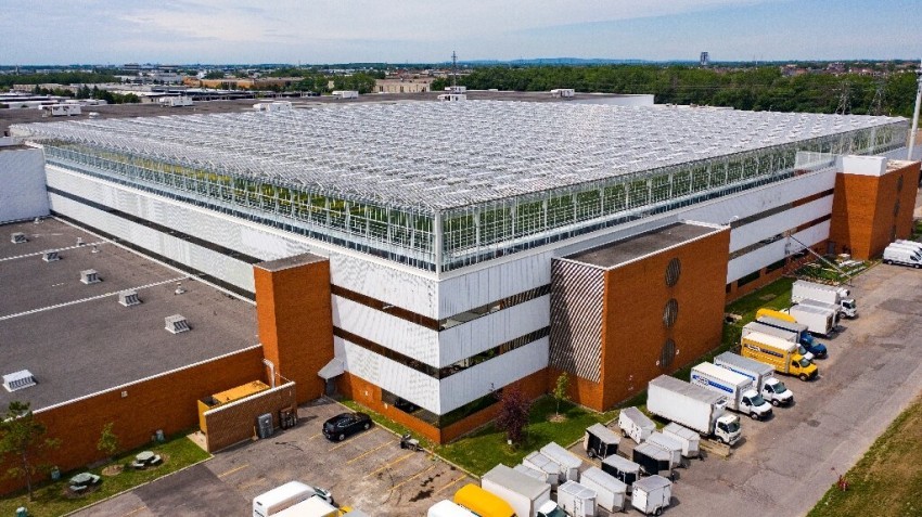 The world's largest rooftop greenhouse opens in Canada - Greenhouse, Technologies, Canada, Montreal, Roof