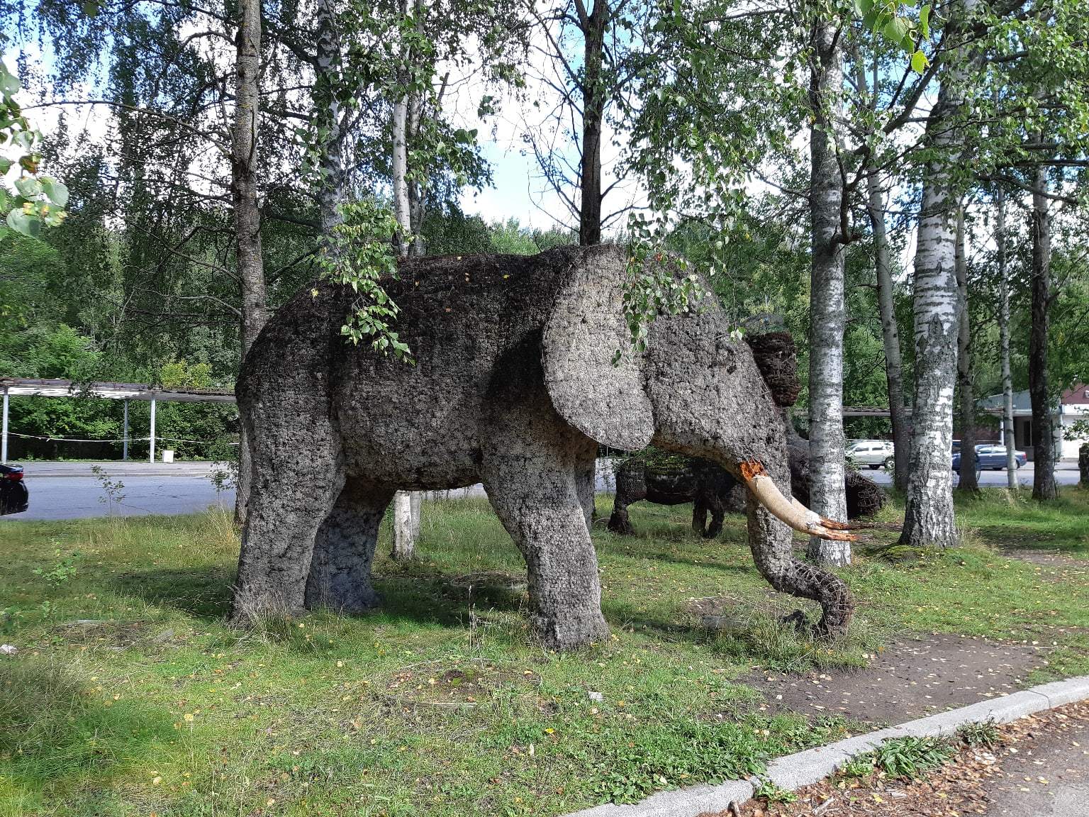 A walk near Lake Sestroretsky Razliv. Saint Petersburg - My, Sestroretsky spill, Lake, Sestroretsk, Saint Petersburg, The photo, Walk, Walk in the woods, Longpost