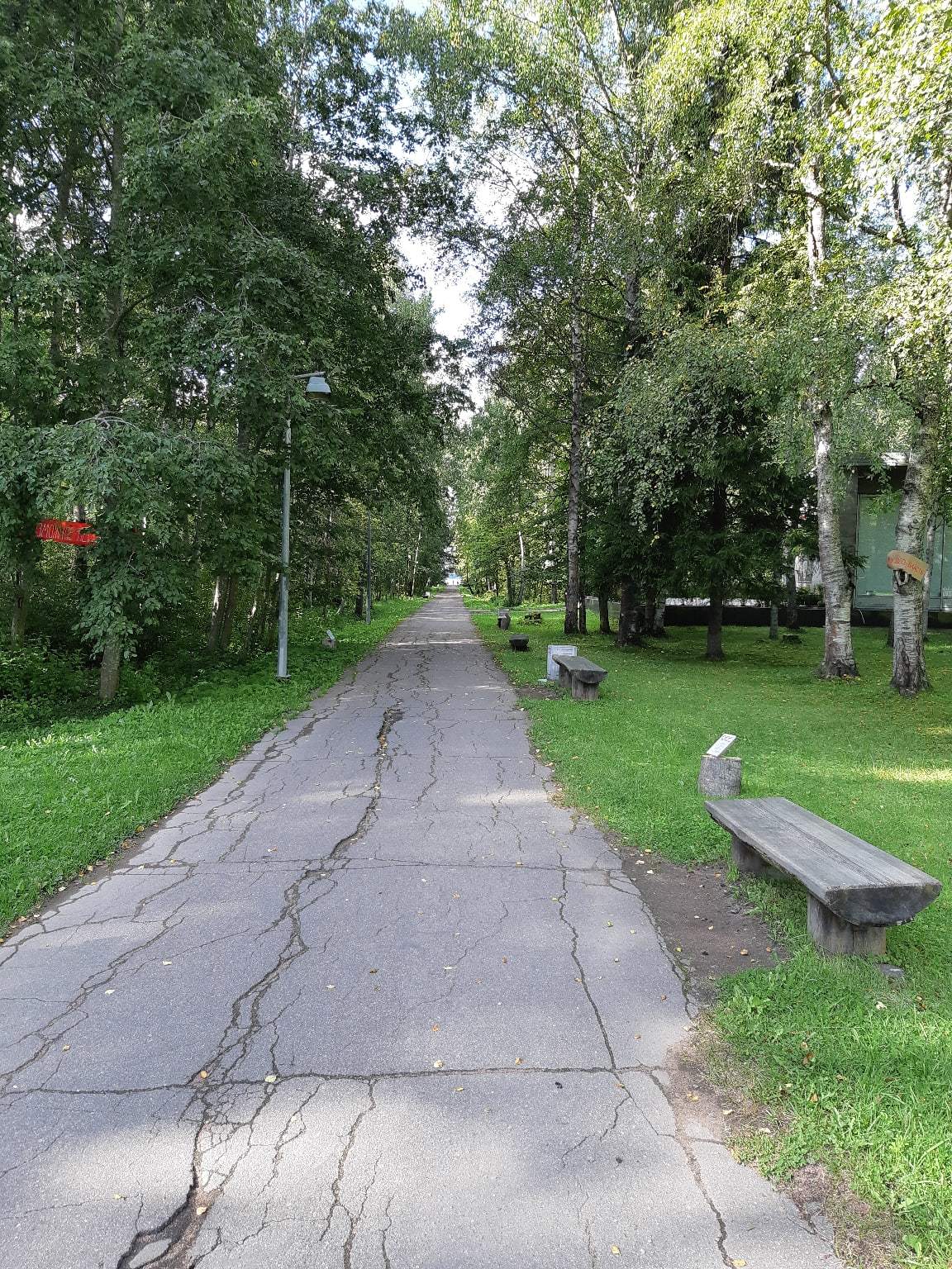 A walk near Lake Sestroretsky Razliv. Saint Petersburg - My, Sestroretsky spill, Lake, Sestroretsk, Saint Petersburg, The photo, Walk, Walk in the woods, Longpost