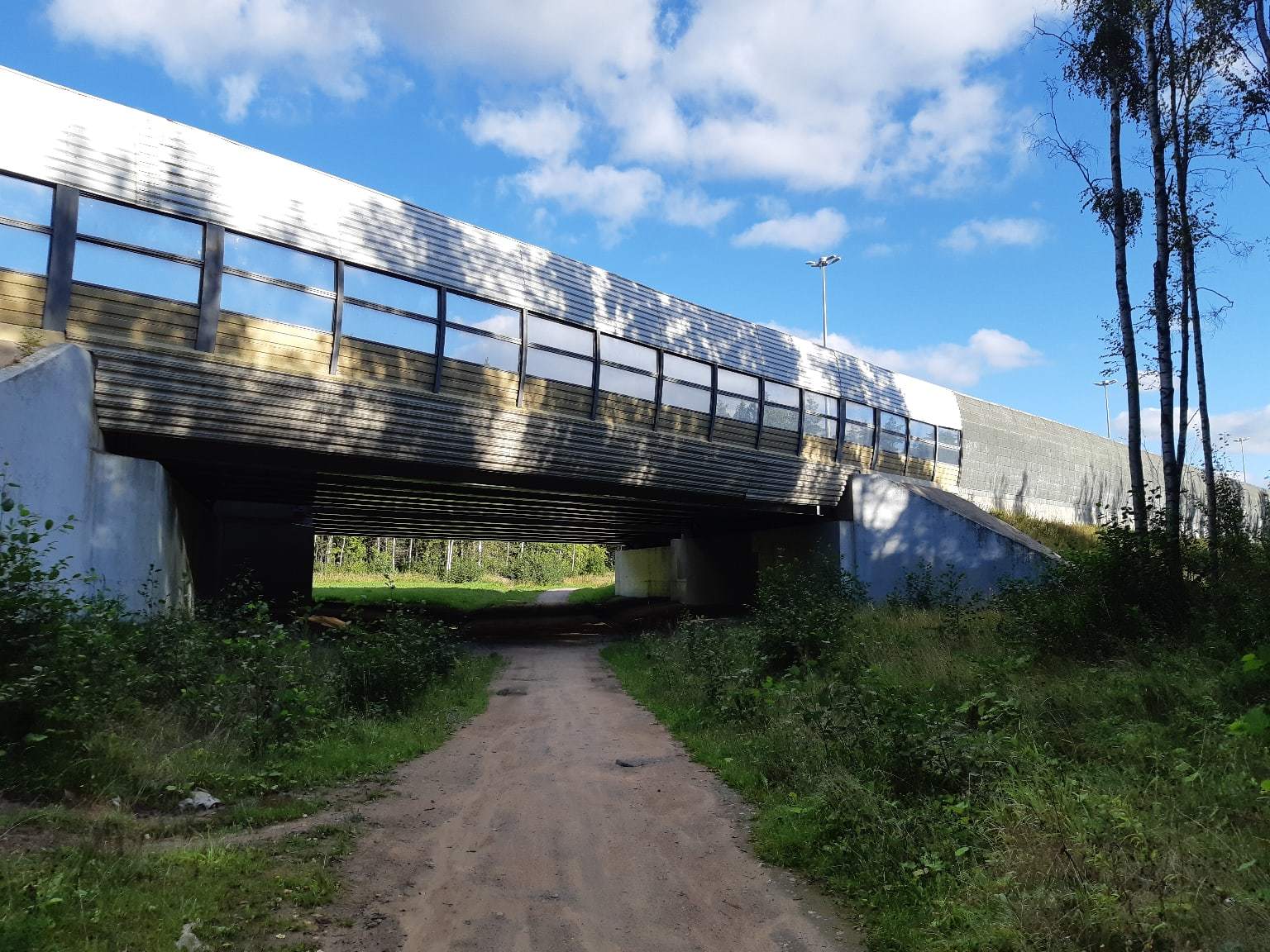 Walk from Lake Sestroretsky Razliv to the Dibuny railway station. Saint Petersburg - My, Sestroretsk, Kurortny district, Saint Petersburg, Nature, Walk in the woods, The photo, Longpost, Yandex Zen, The nature of Russia