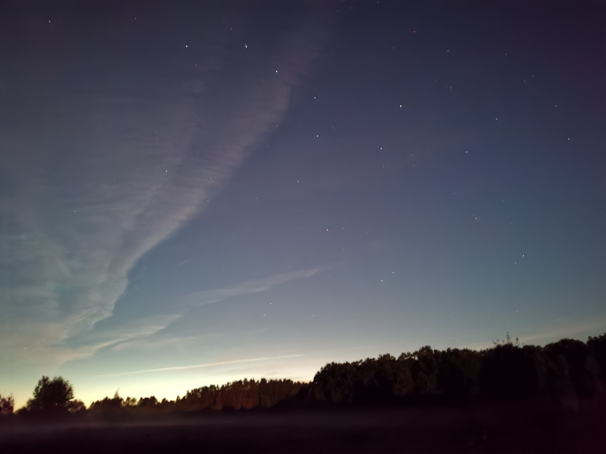 Evening in the forest - My, Russia, Pavlovo, Pavlovo on the Eye, Star, Sky, Honor, Huawei, Forest, Longpost