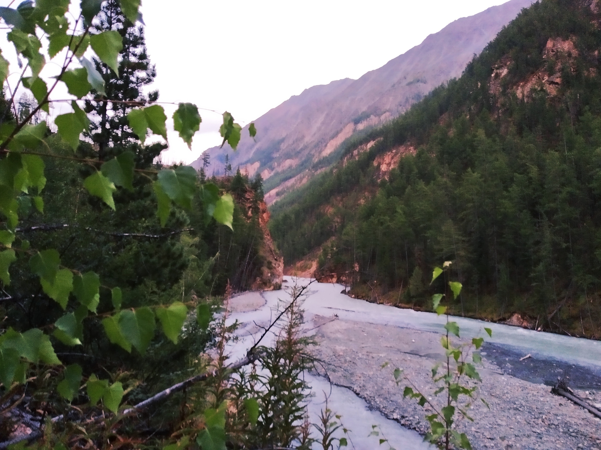 Ran 180 km in two days “around” the South Chuya ridge - My, Altai Republic, Ultratrail, Run, The mountains, Trail, Ultramarathon, Video, Longpost