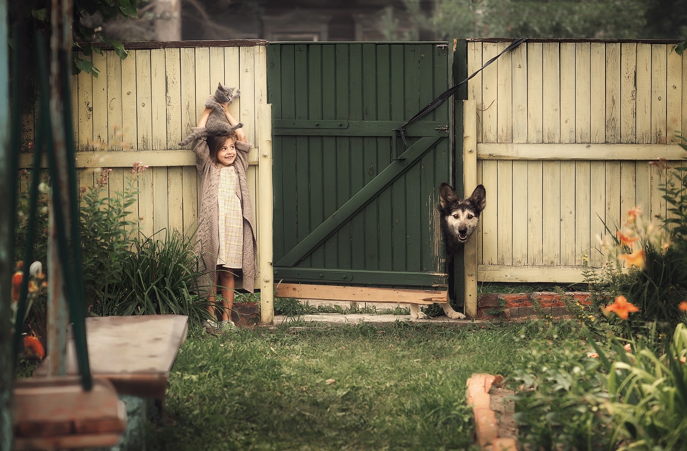 Hide and seek - Children, Dog, cat, Fence, Hide and seek, Milota, Gate