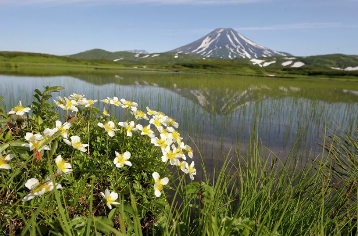 “Splendor and poverty” of Kamchatka. About poachers, gold mining and ecotourists - Kamchatka, Ecology, A fish, Tourism, Longpost