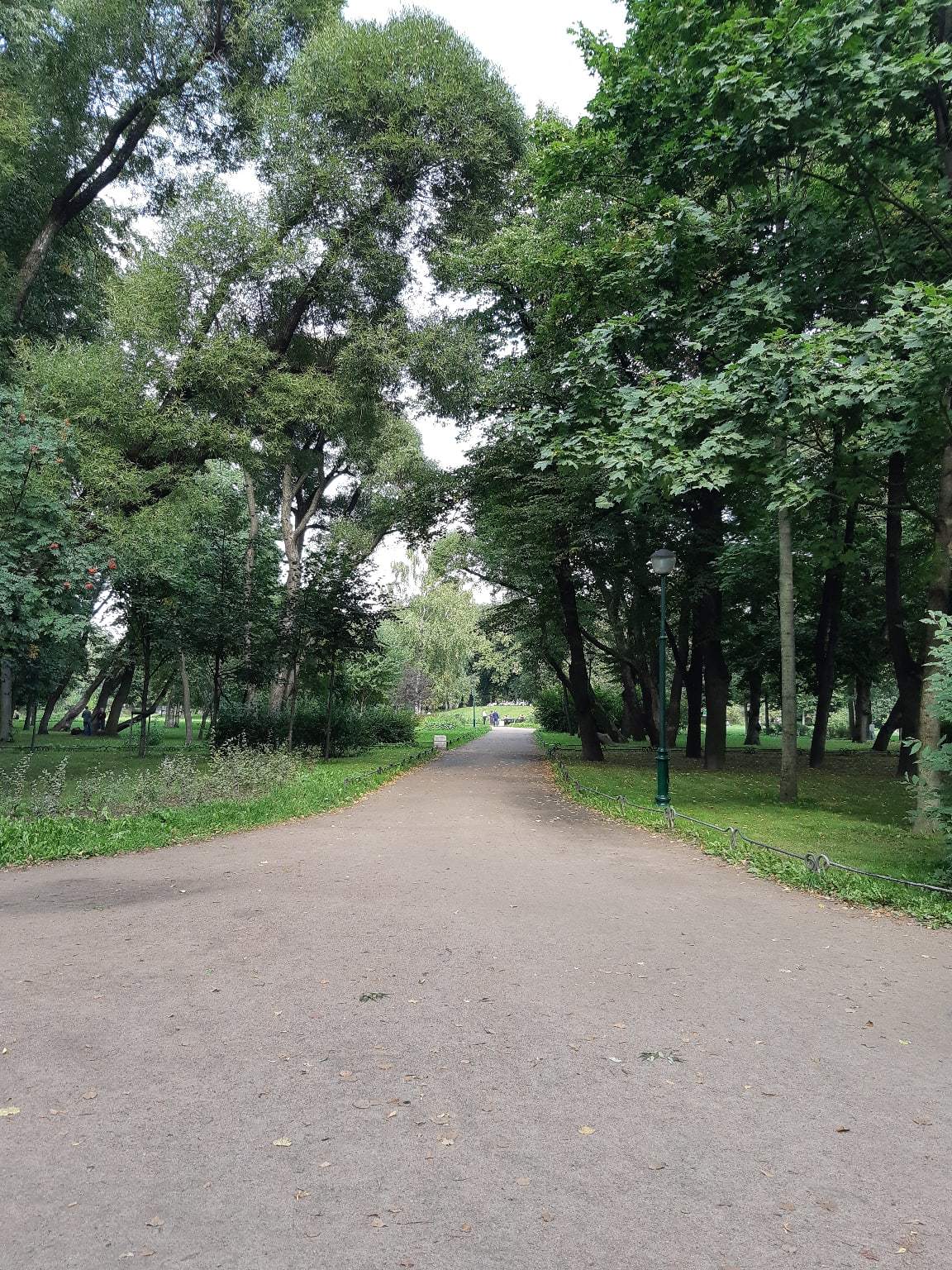 Три сада - Моё, Фотография, Летний сад, Таврический сад, Михайловский сад, Санкт-Петербург, Длиннопост