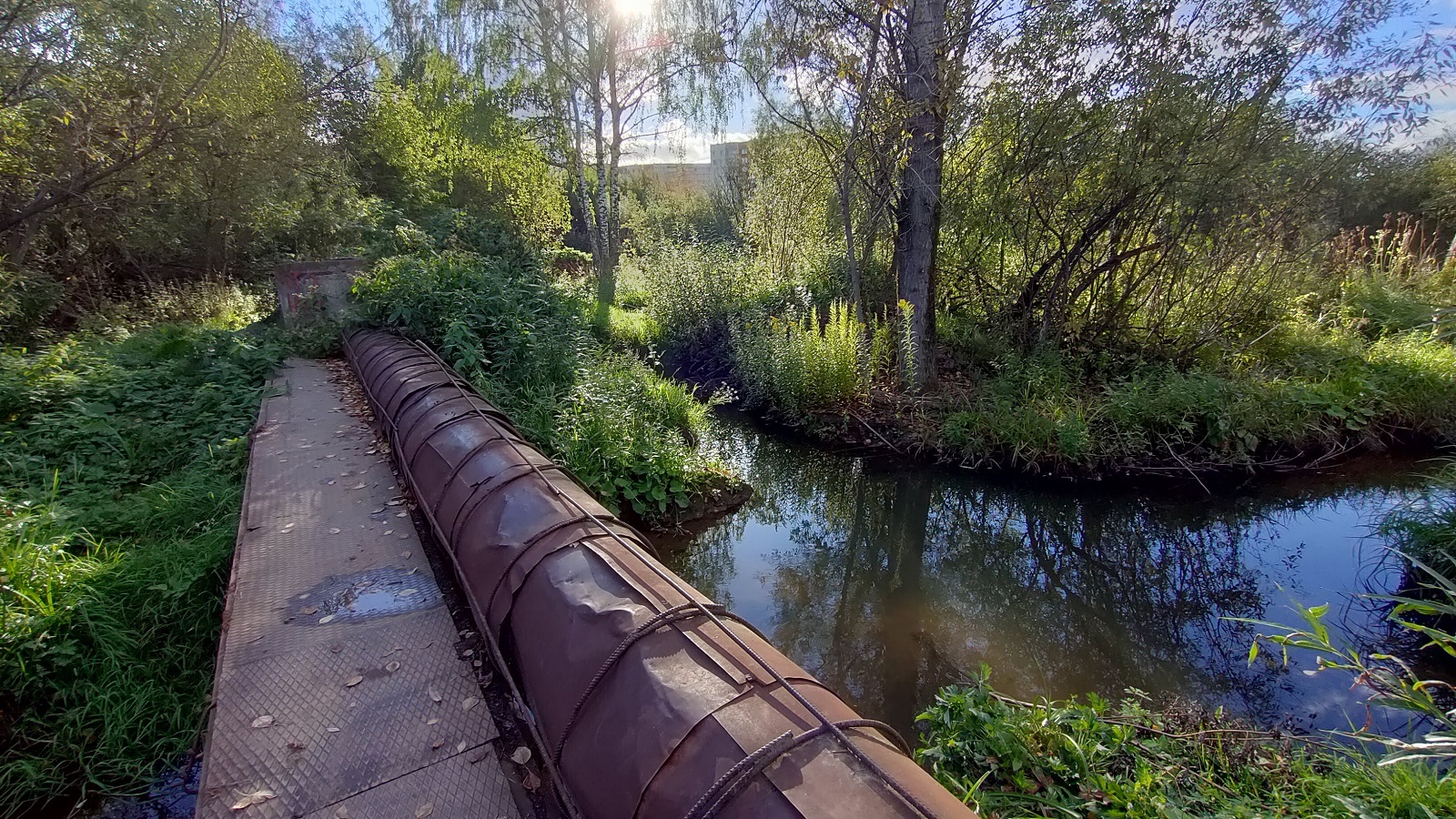 What does the Ivinskaya ecological trail look like in Perm? - My, Permian, Ecology, Longpost