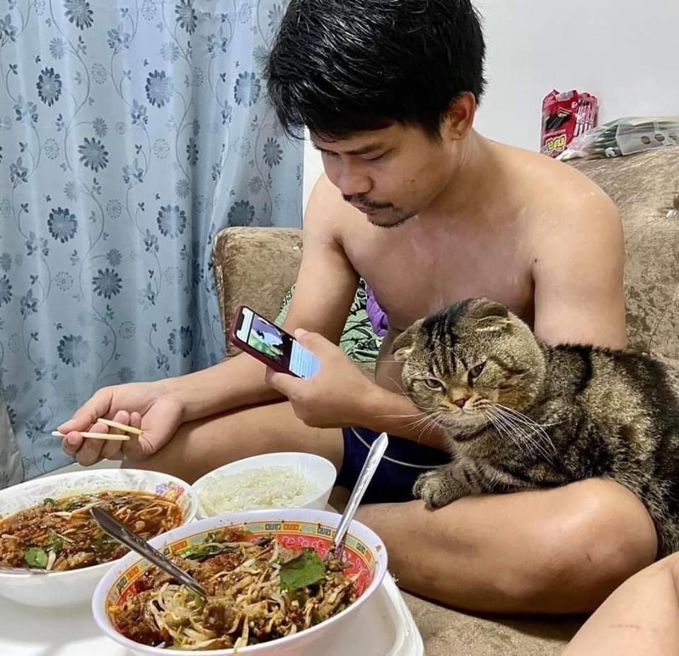 When the cat stole your husband from you - cat, Husband, Longpost, Asians