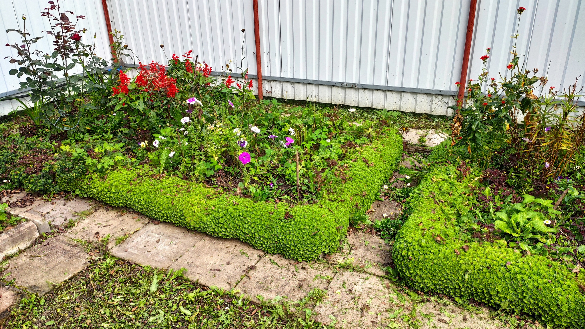 Curbs - My, Border, Garden, Flower bed