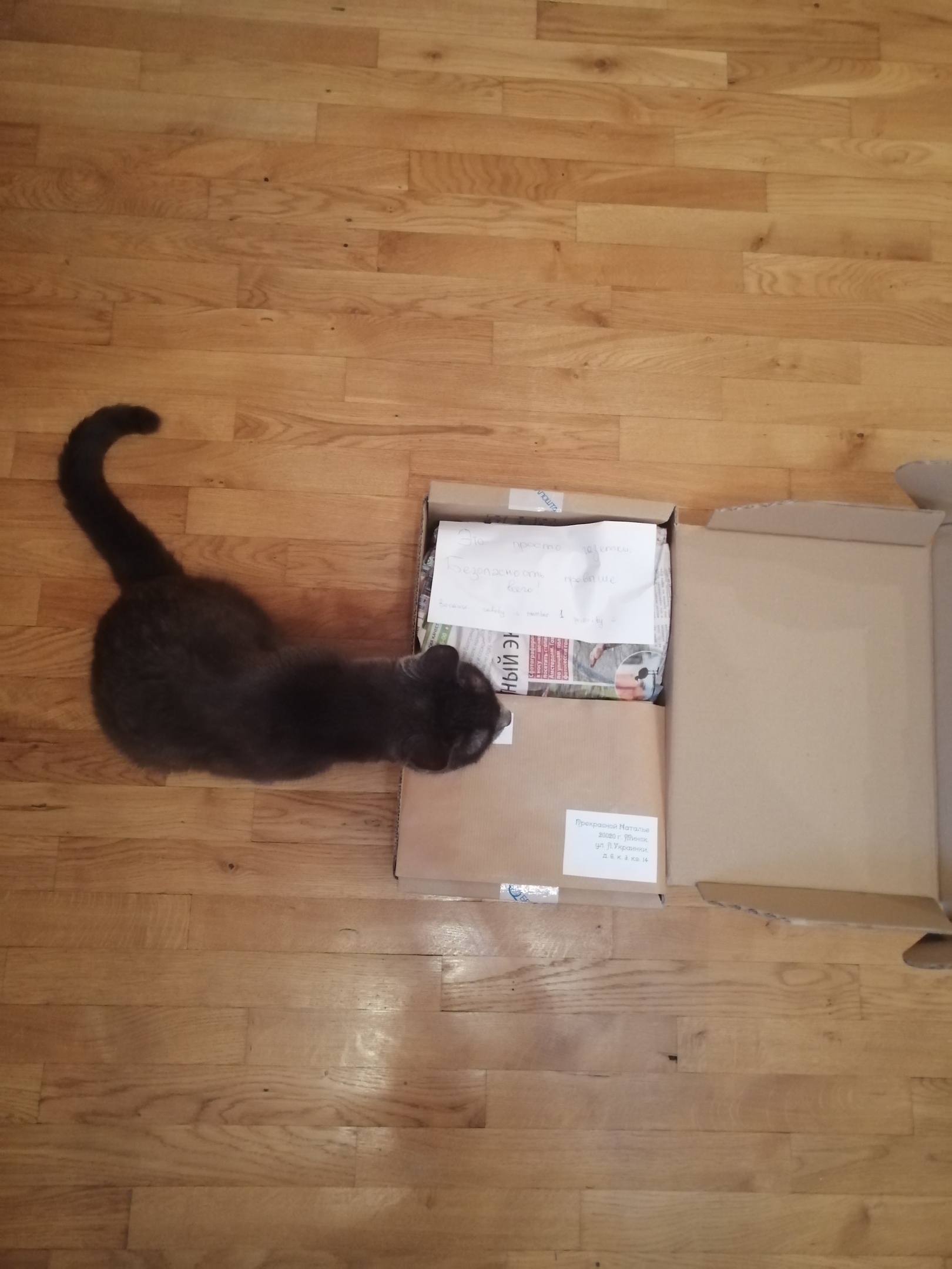 Book turn 2.0 Magic gift from Minsk to Minsk - My, Gift exchange, Bookcrossing, Books, Harry Potter, Secret Santa, cat, Longpost, Gift exchange report