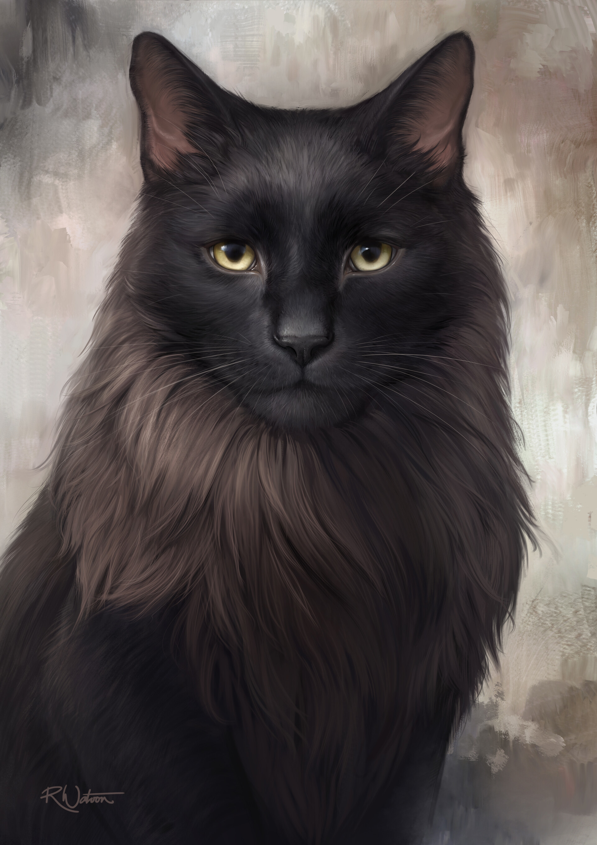 Черный кот арт