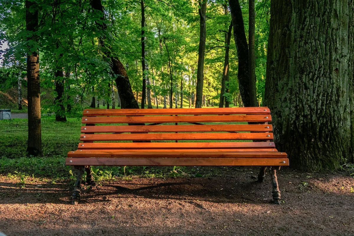 Bench - My, Benches, Story, A life, Life stories, Philosophy, Kindness, Milota, Soul, People, Longpost, Author's story