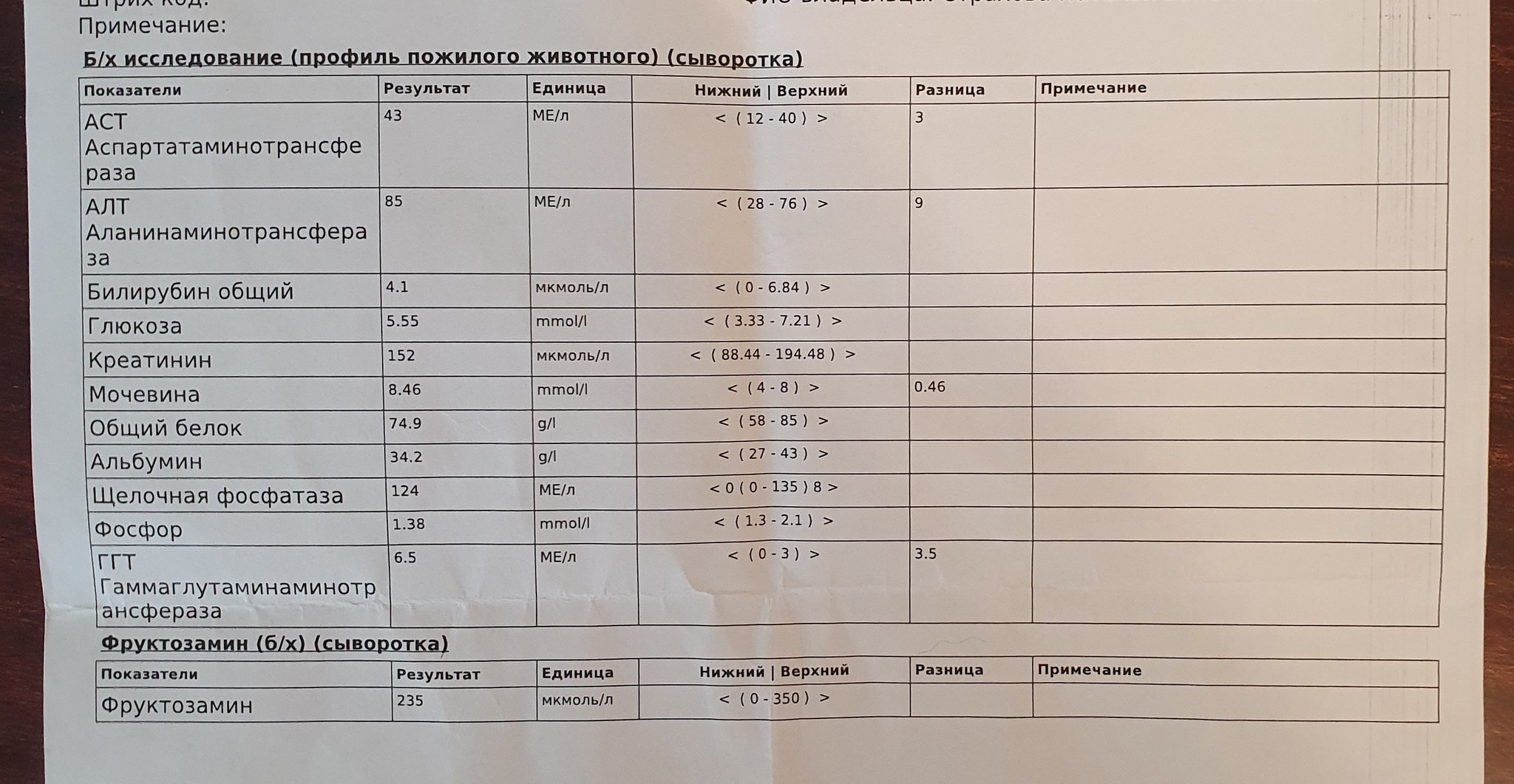 Кашель у кота - Моё, Санкт-Петербург, Кот, Ветеринария, Нужна помощь врачей, Помощь, Видео, Длиннопост, Без рейтинга