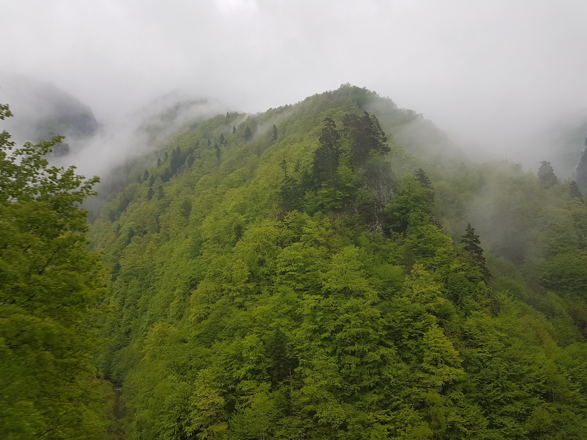 Carpathians - My, Romania, The mountains, Longpost, The photo, Nature